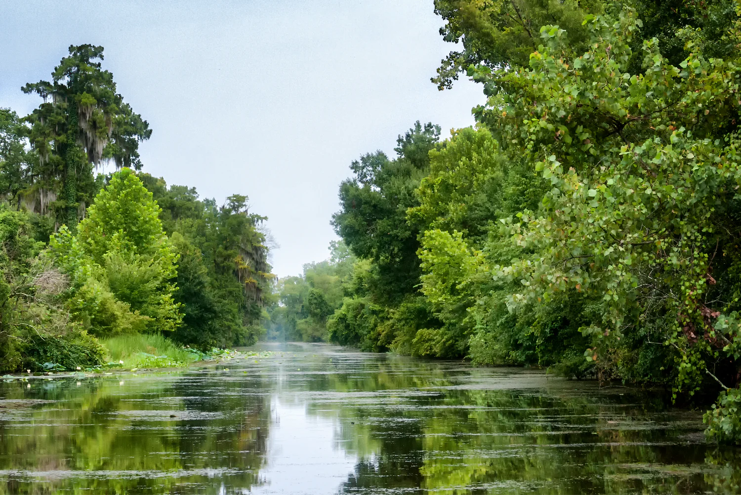 The Top Louisiana Waterways for Fly Fishing