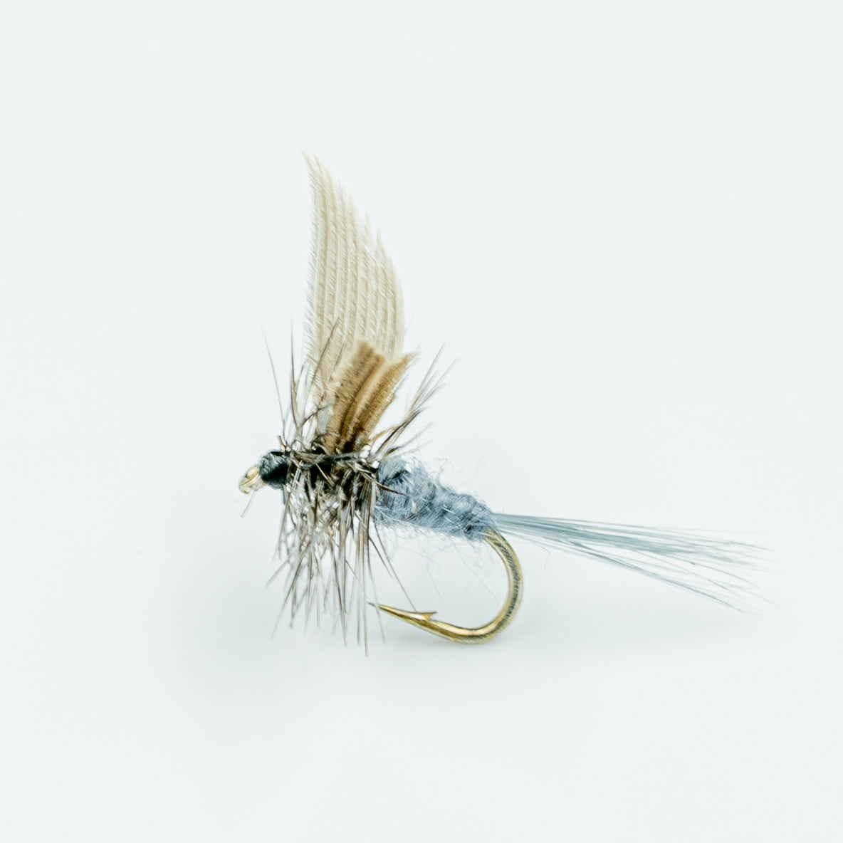 Blue Dun– Finatics Fly Company