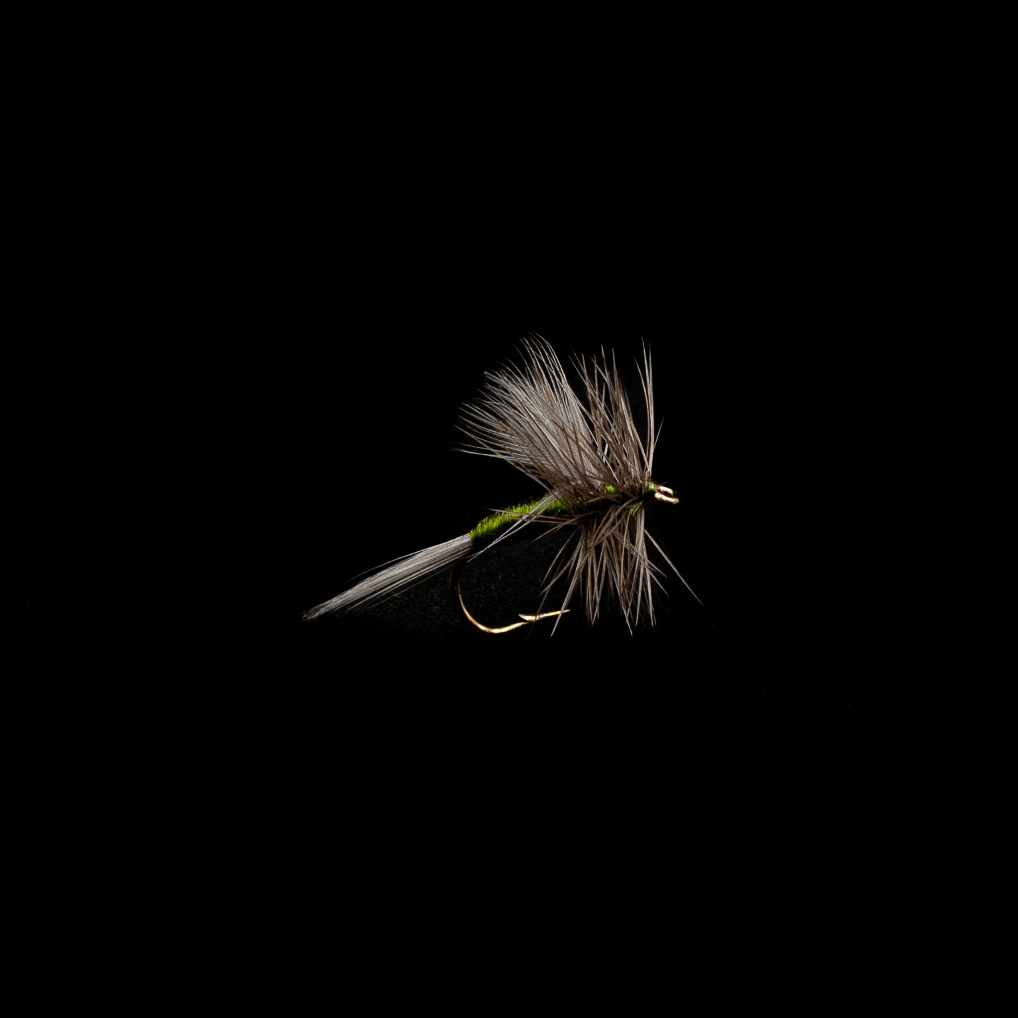Blue-Winged Olive (BWO)– Finatics Fly Company