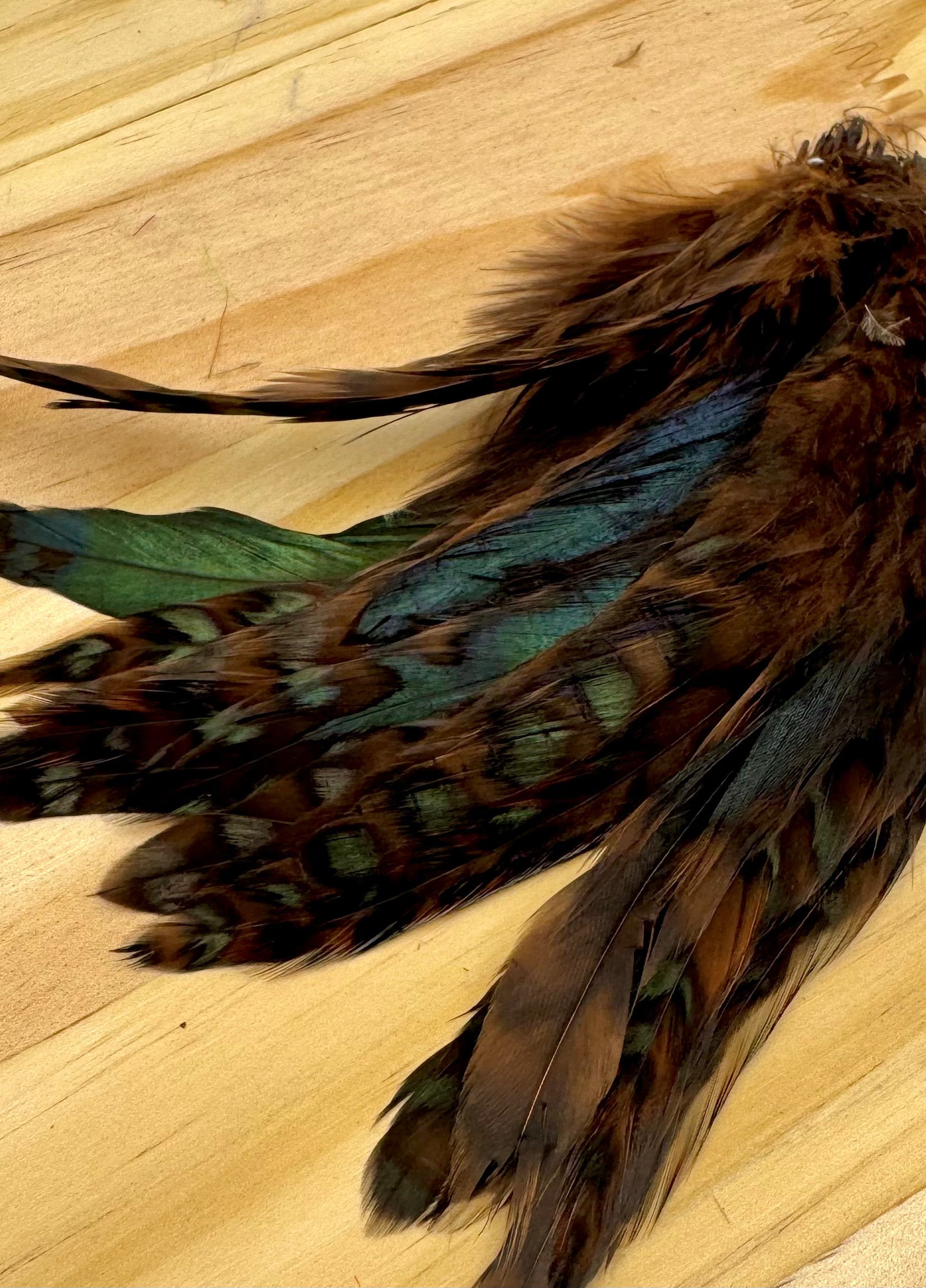 Grizzly Variant Schlappen- Nature's Spirit - fly tying material - image 11