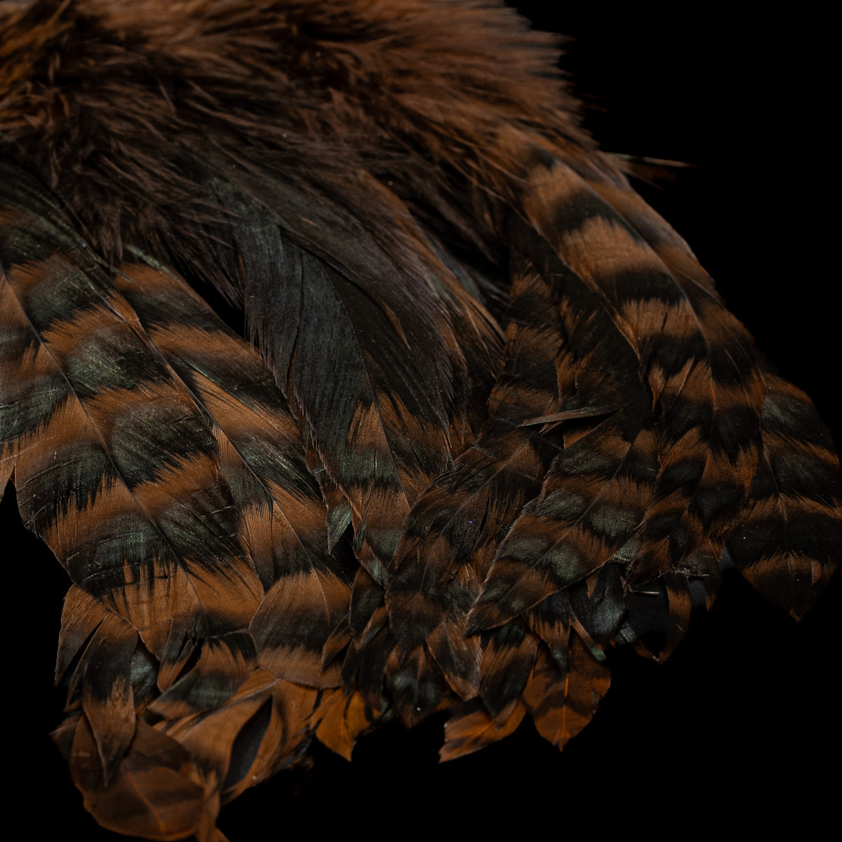 Grizzly Variant Schlappen- Nature's Spirit - fly tying material - image 6