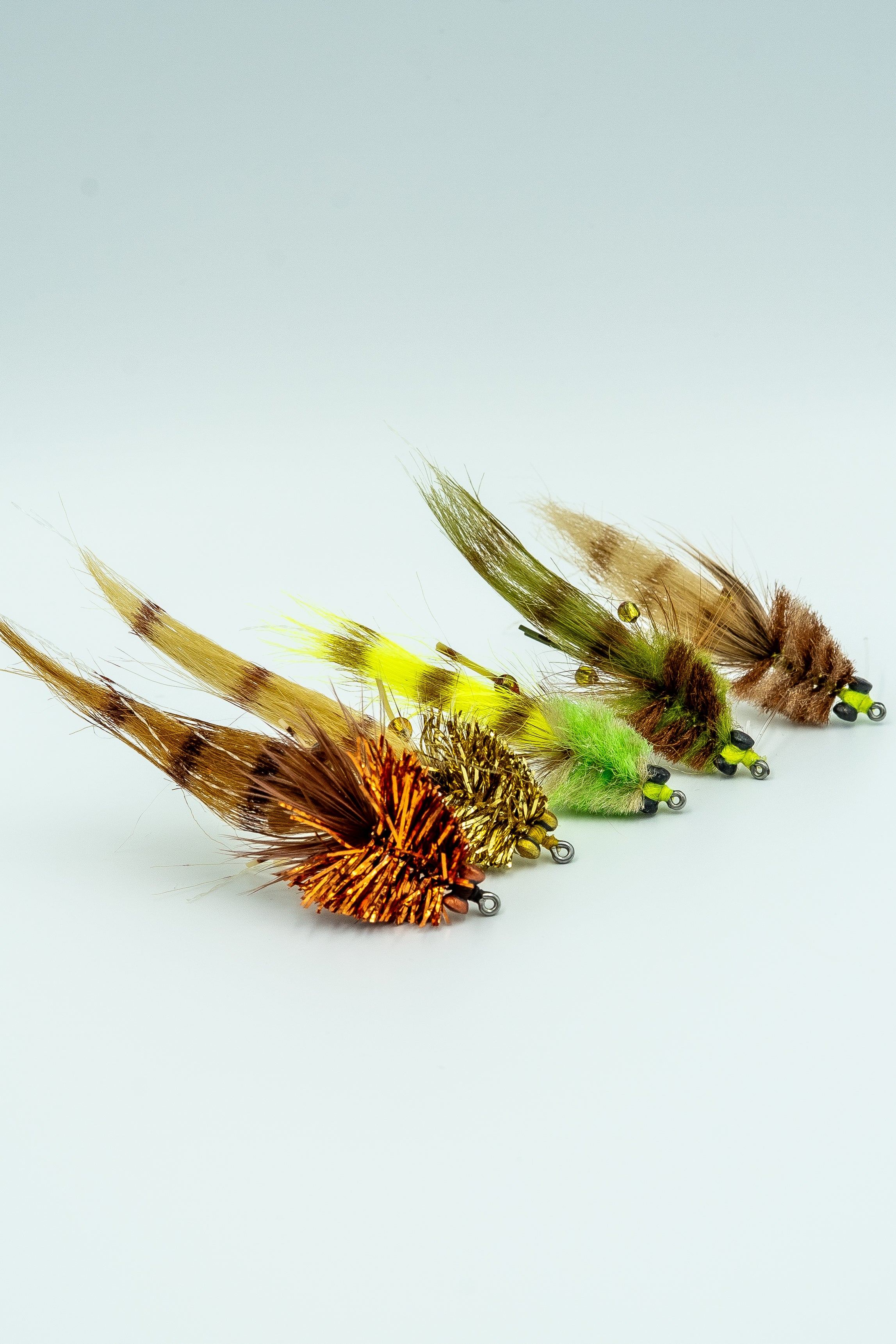 COLBY'S MINI CORONA TOAD - Rainy's