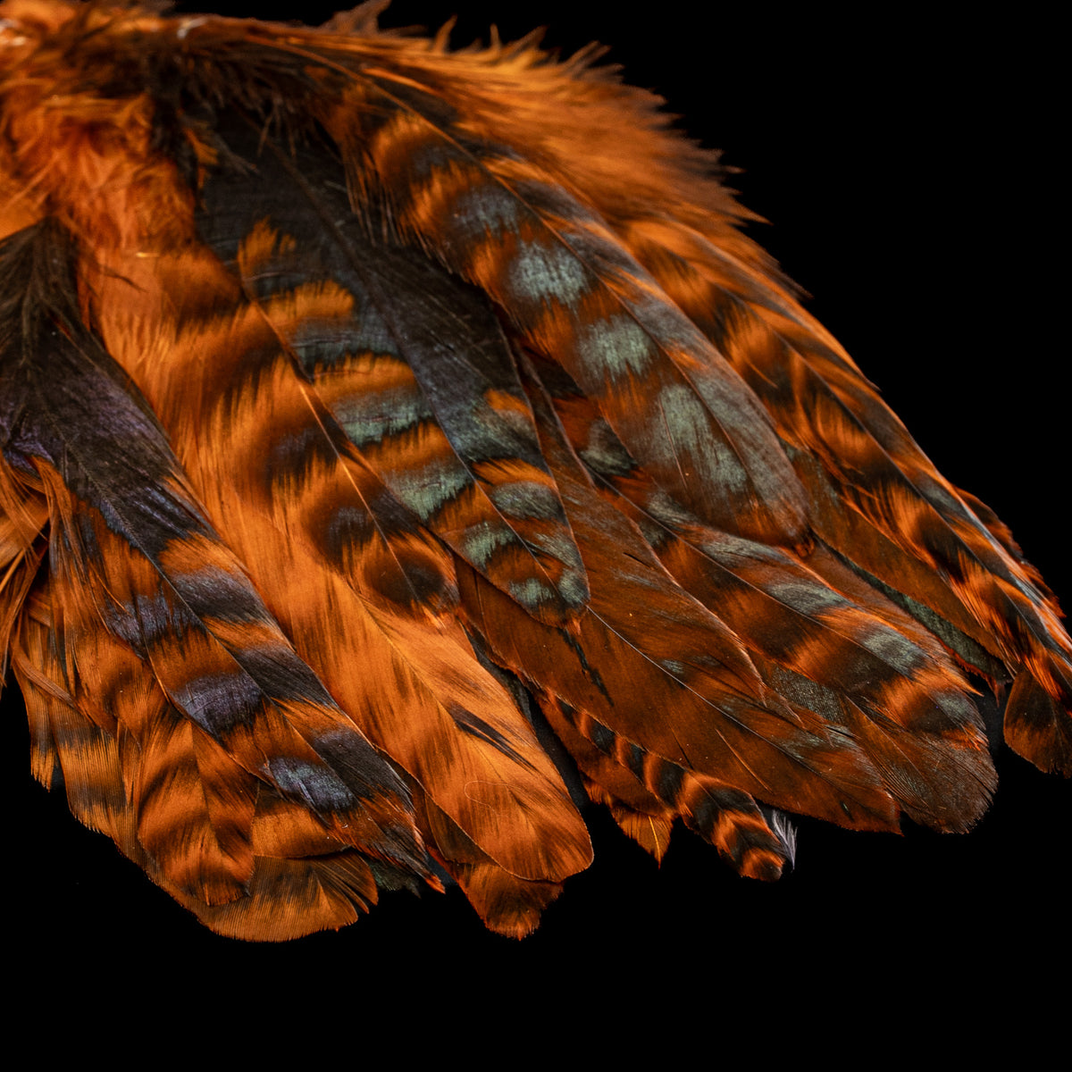 Grizzly Variant Schlappen- Nature's Spirit - fly tying material - image 10