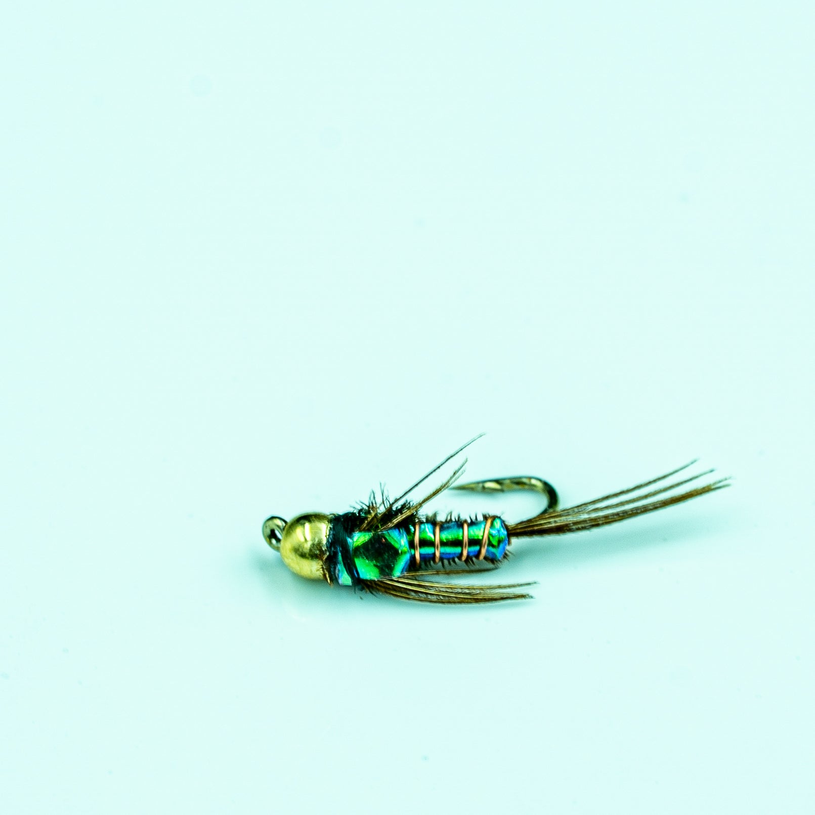 Flashback Pheasant Tail- Finatics Fly Company