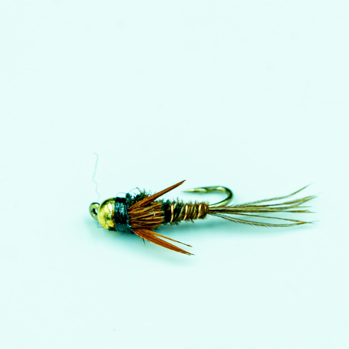 Pheasant Tail Nymph- Finatics Fly Company