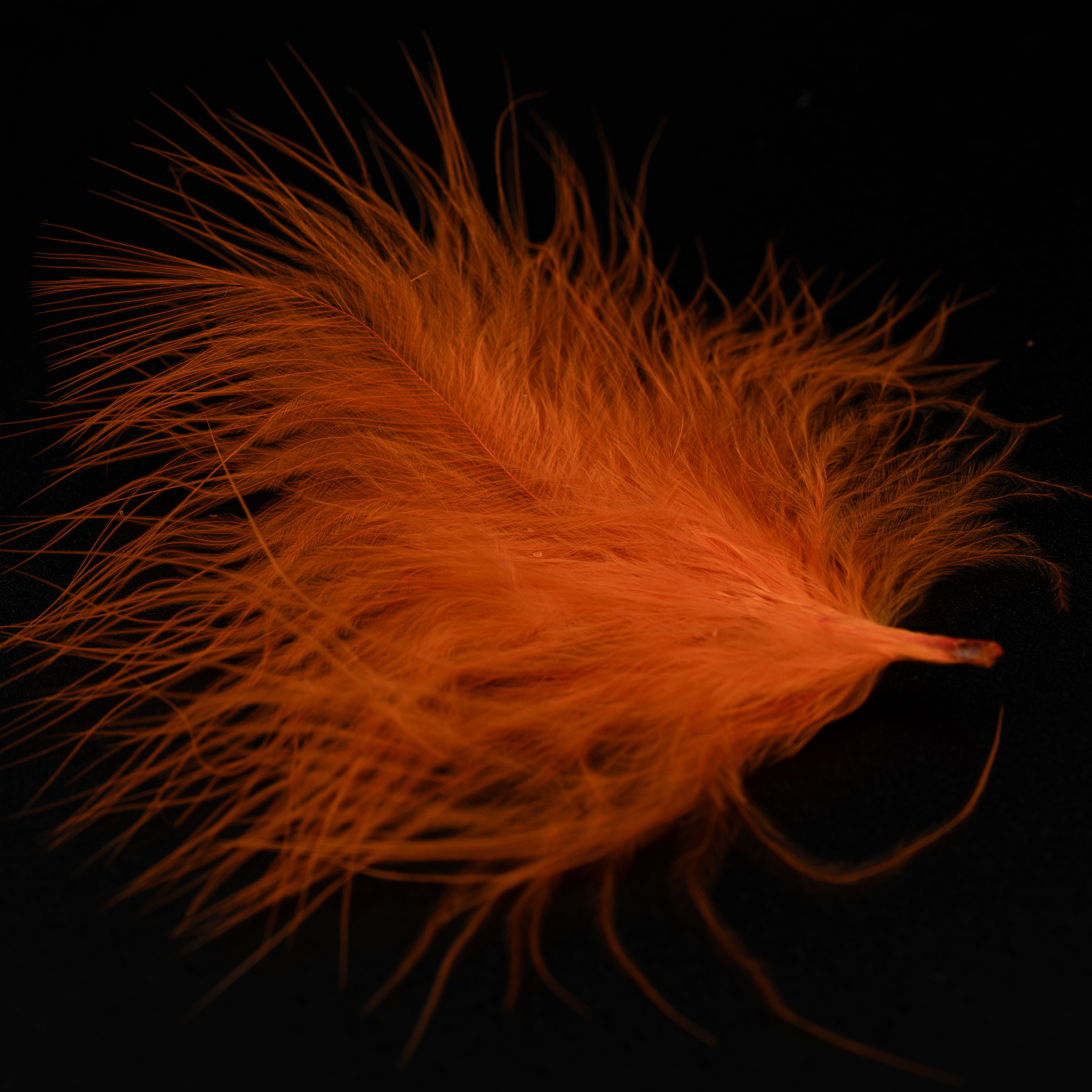 Finatics Premium Loose Marabou – 3" to 5" Plumes- Finatics Fly Company - fly tying material - image 7