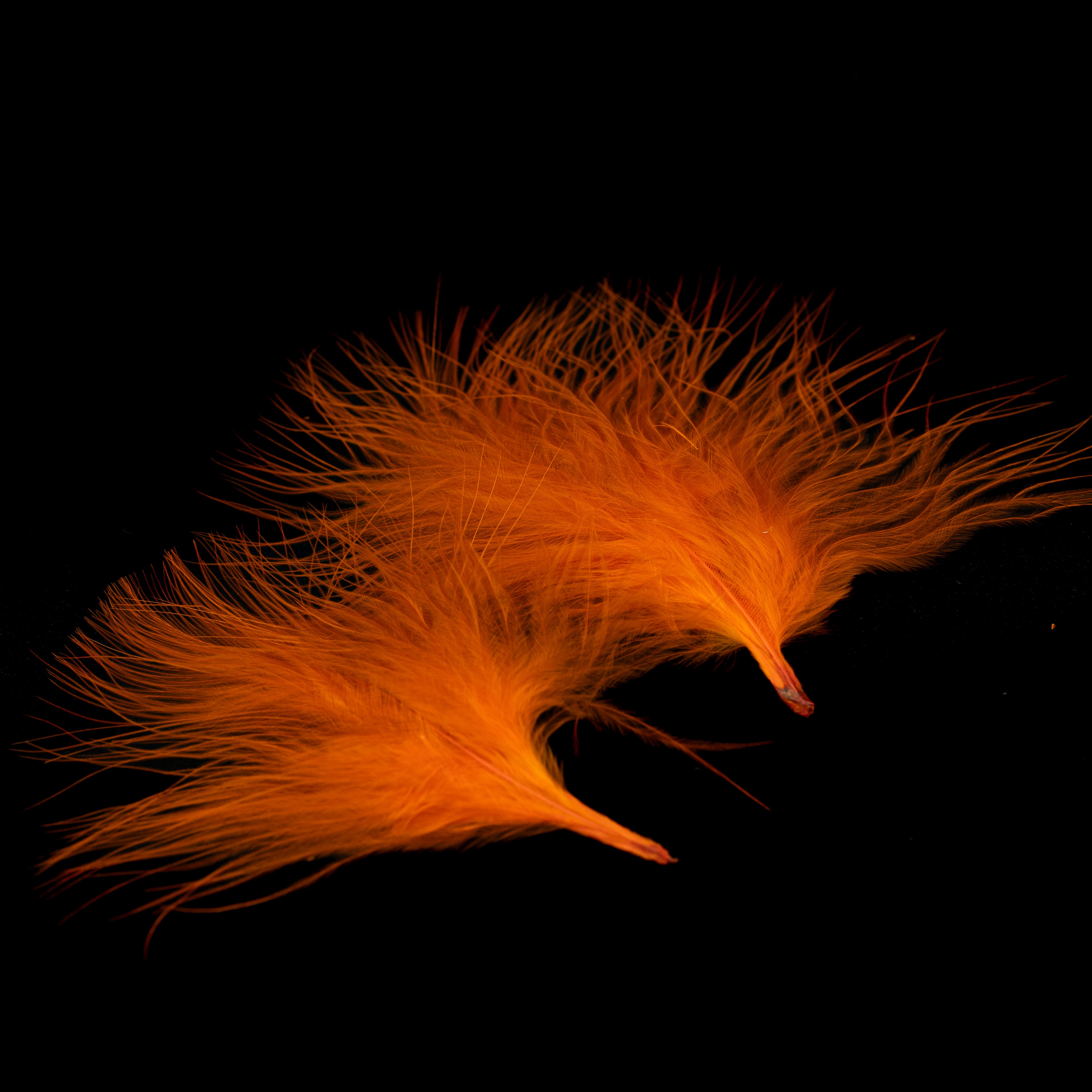 Finatics Premium Loose Marabou – 3" to 5" Plumes