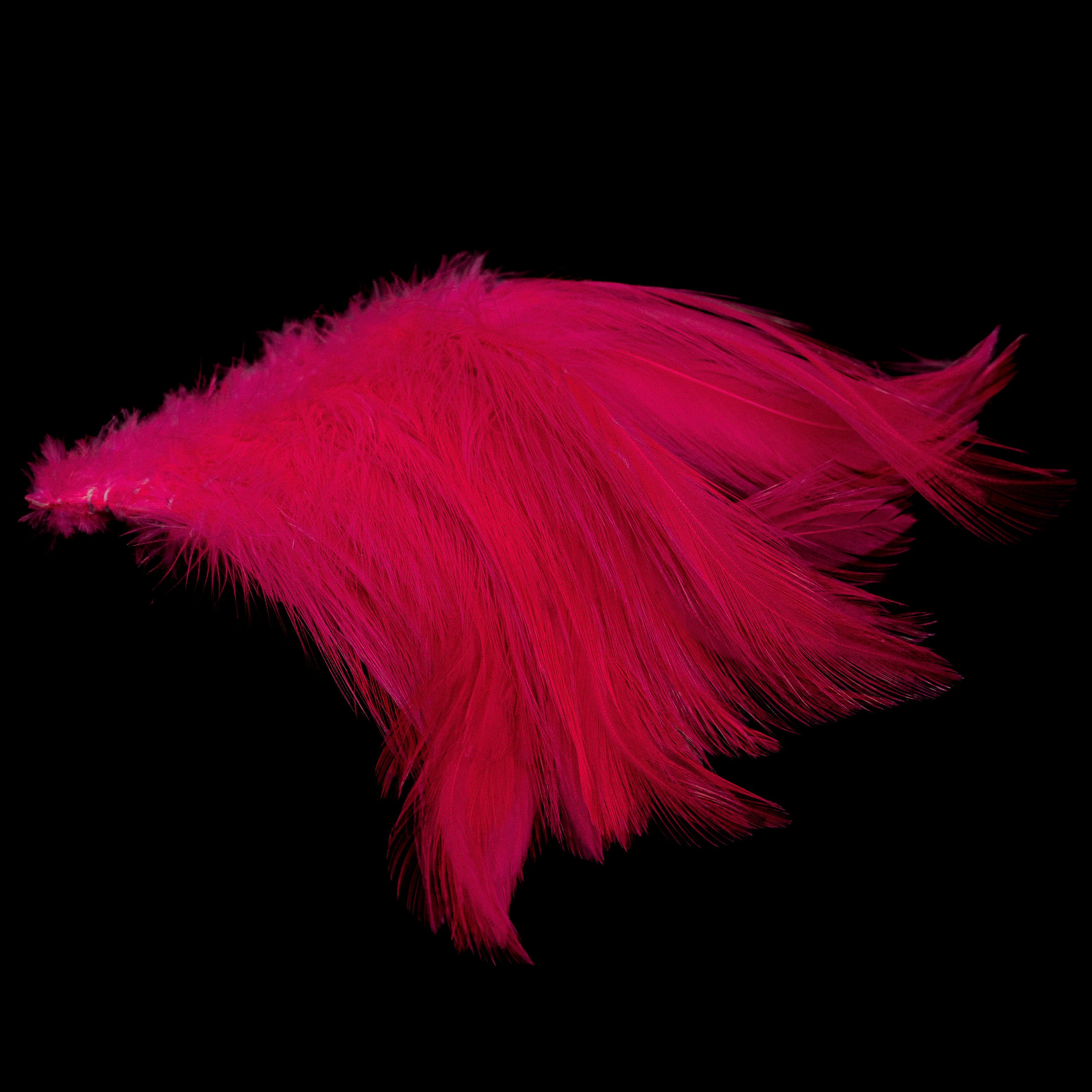 Finatics Premium Strung Hackle – 4" to 4.5"