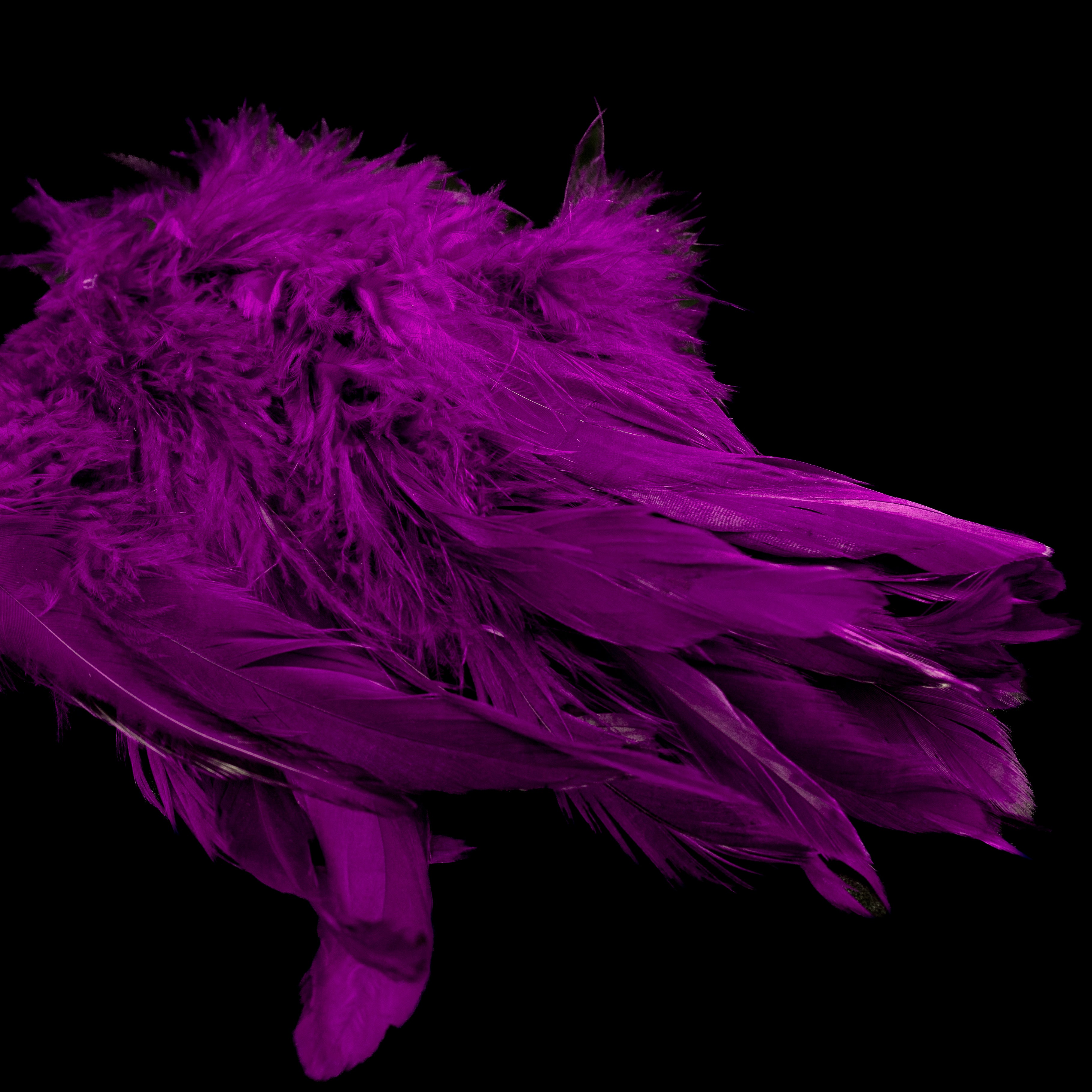 Finatics Premium Schlappen (5.5–7.5”)-Finatics Fly Company