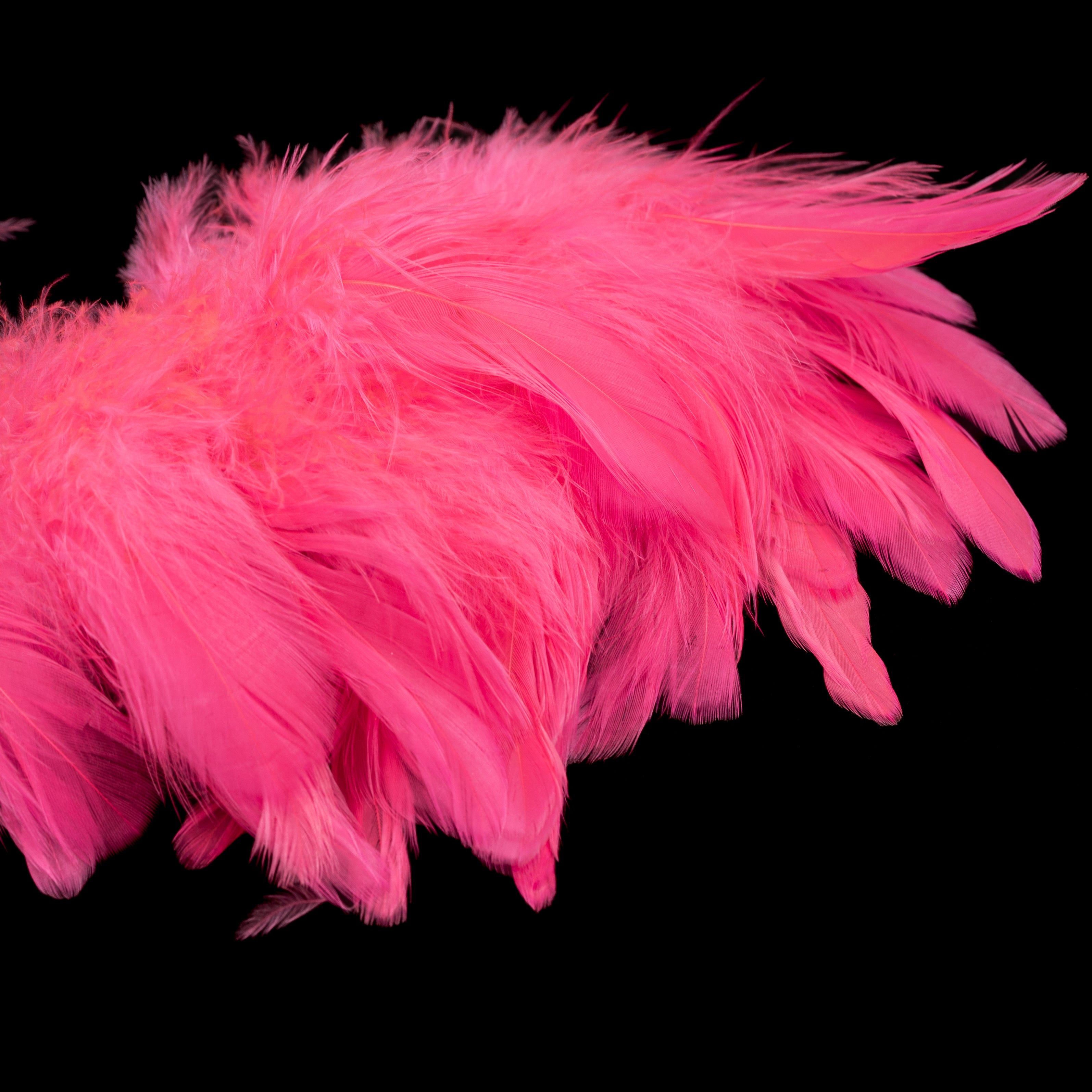 Finatics Premium Schlappen (3–5”) - Finatics Fly Company