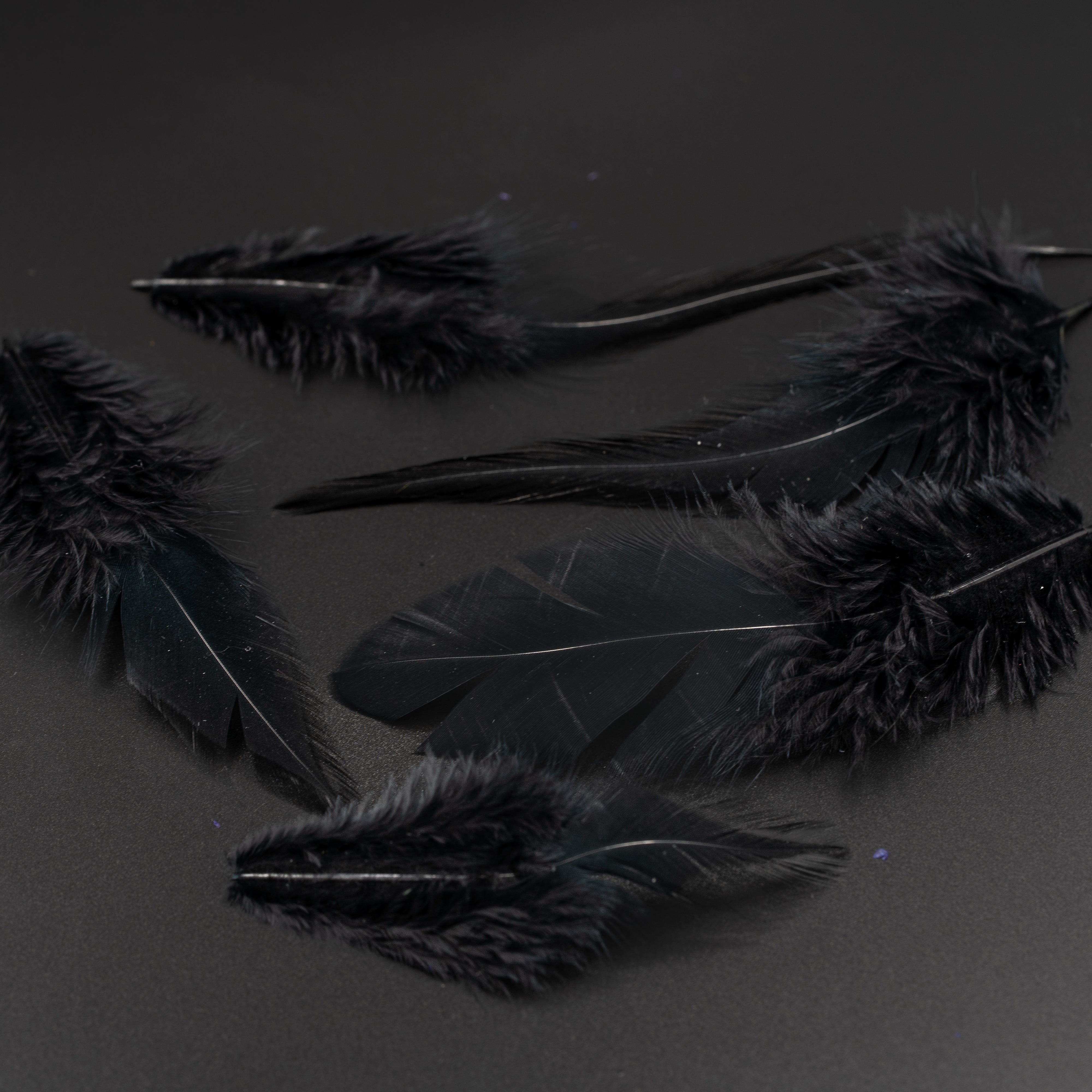 Finatics Loose Saddle – 1/4 oz (3–5”)- Finatics Fly Company