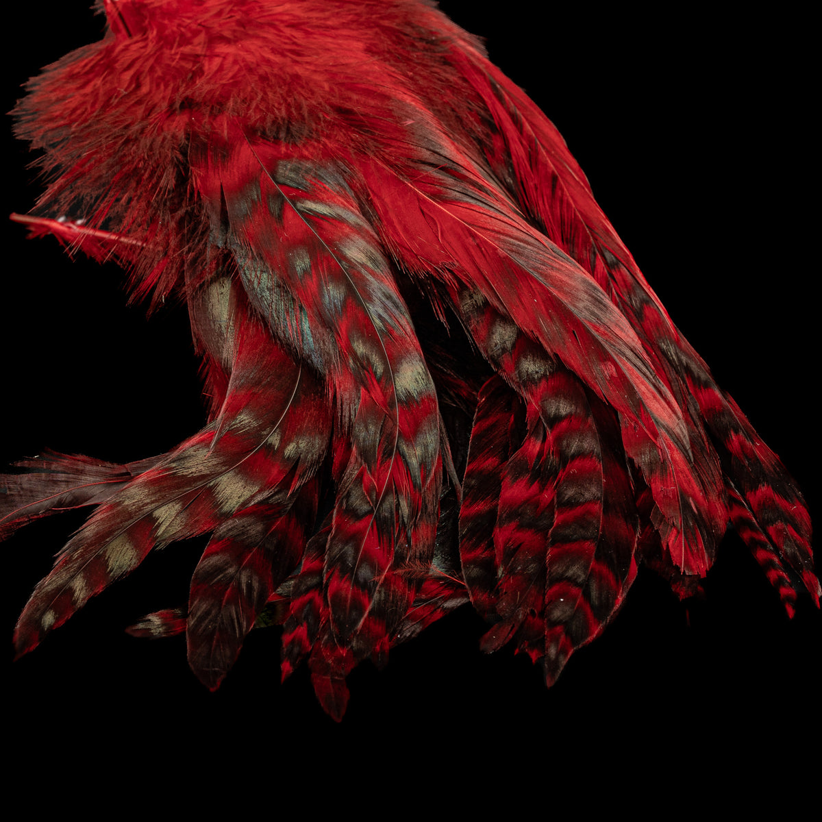 Grizzly Variant Schlappen- Nature's Spirit - fly tying material - image 22
