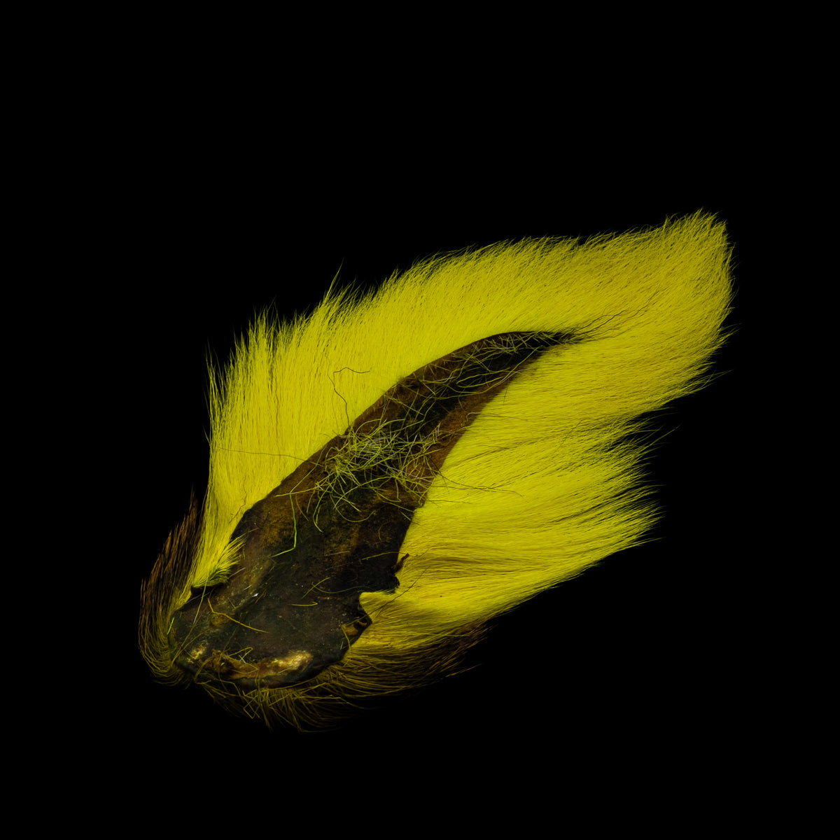 Nature Spirit Premium Bucktail – Select Bucktail for Fly Tying - fly tying material - image 3