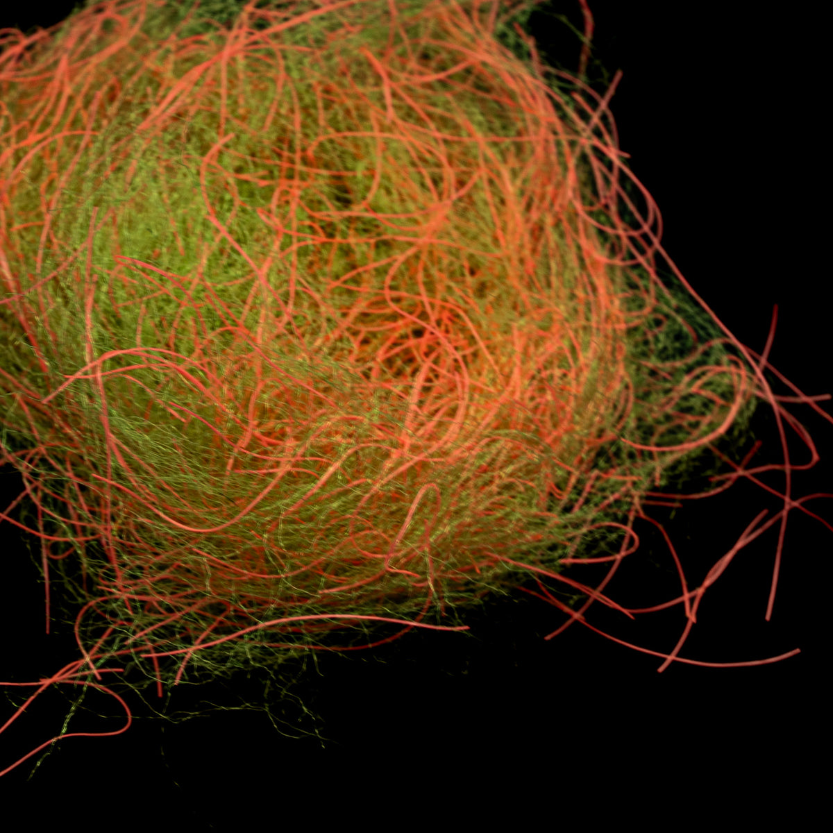 Crab Trap Dubbing – Finatics Fly Company - fly tying material - image 5