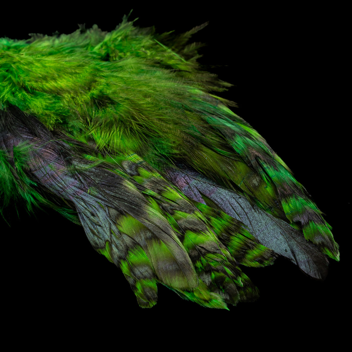 Grizzly Variant Schlappen- Nature's Spirit - fly tying material - image 26