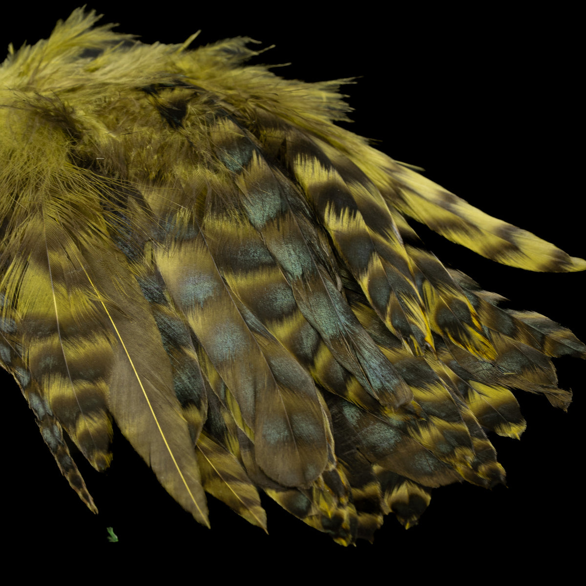 Grizzly Variant Schlappen- Nature's Spirit - fly tying material - image 23