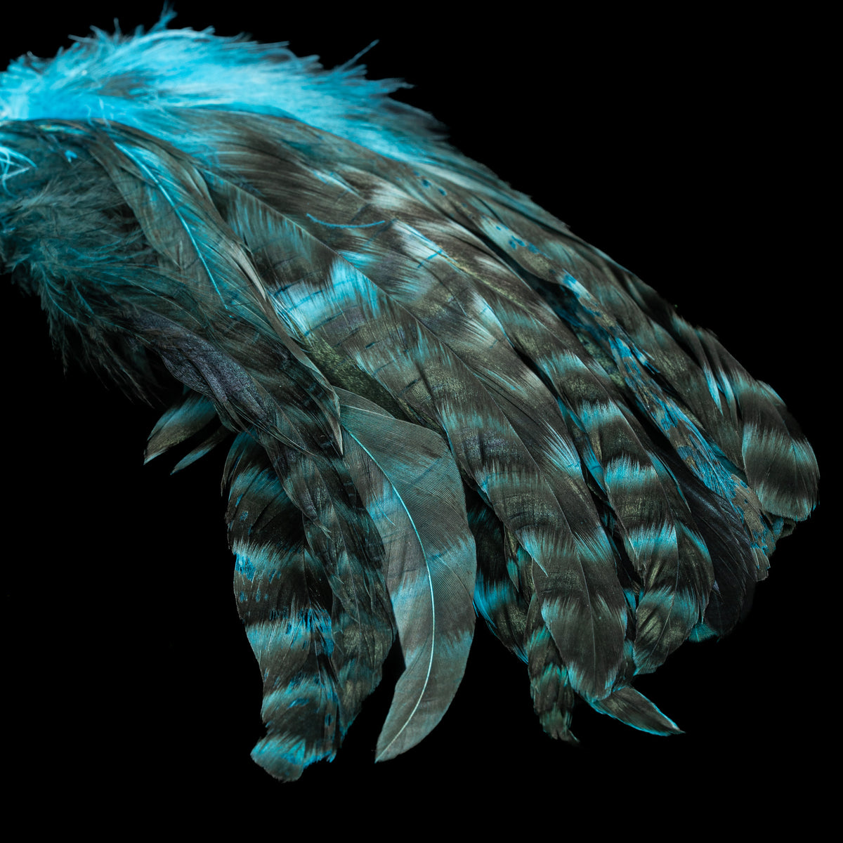 Grizzly Variant Schlappen- Nature's Spirit - fly tying material - image 25