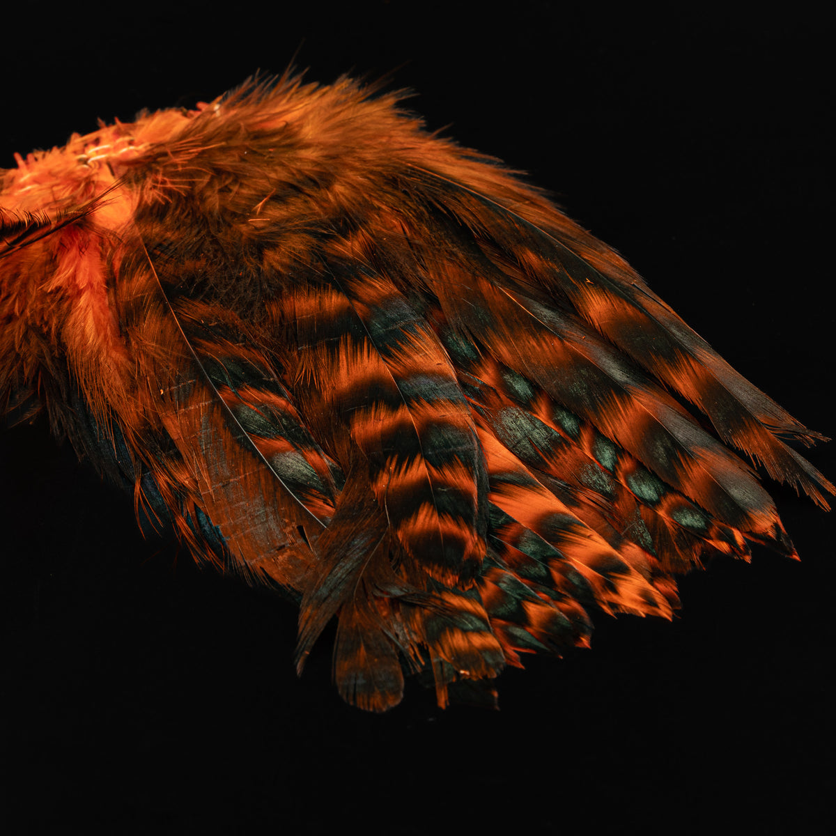 Grizzly Variant Schlappen- Nature's Spirit - fly tying material - image 24
