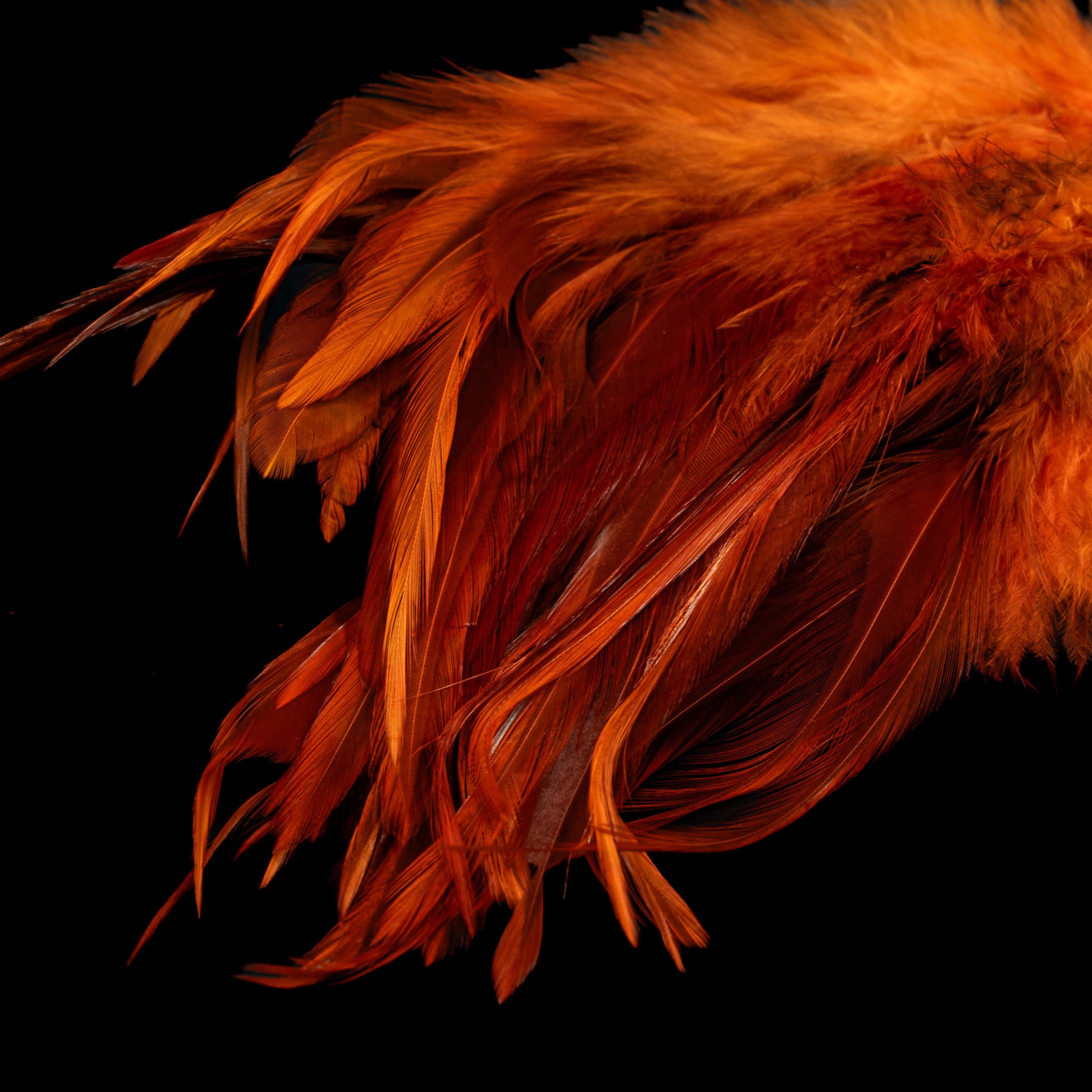 Strung Saddle - Nature's Spirit - fly tying material - image 7
