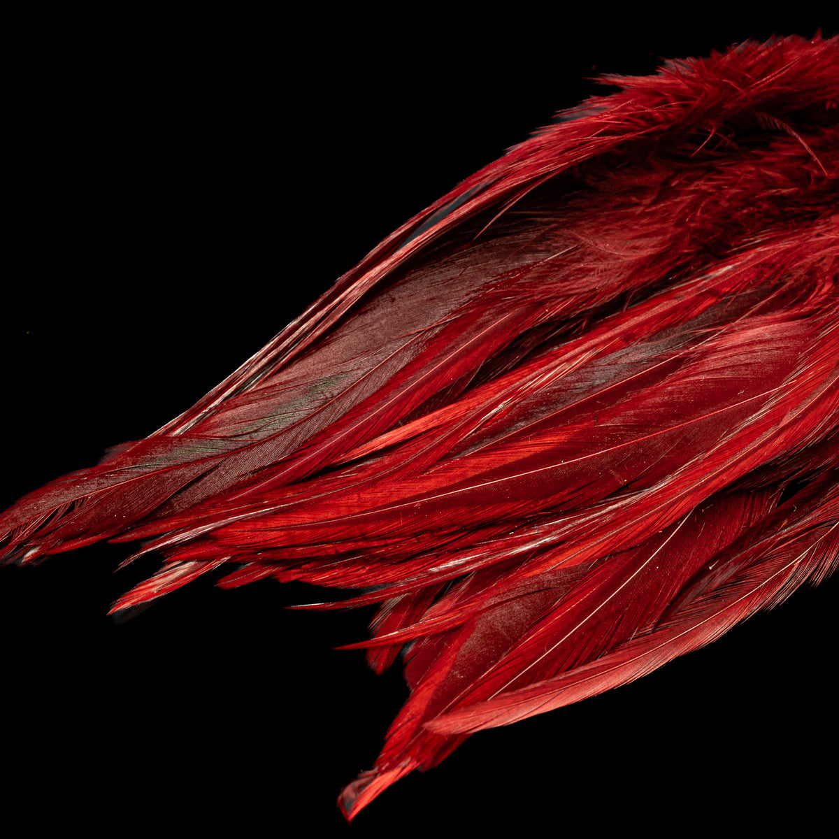 Strung Saddle - Nature's Spirit - fly tying material - image 8
