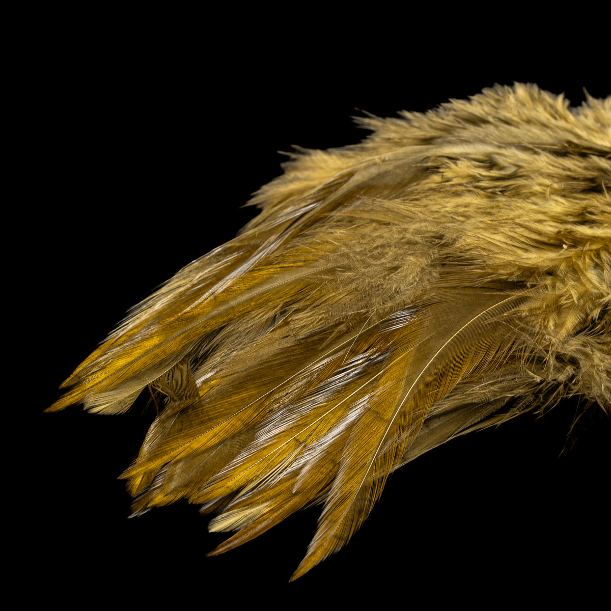 Strung Saddle - Nature's Spirit - fly tying material - image 3