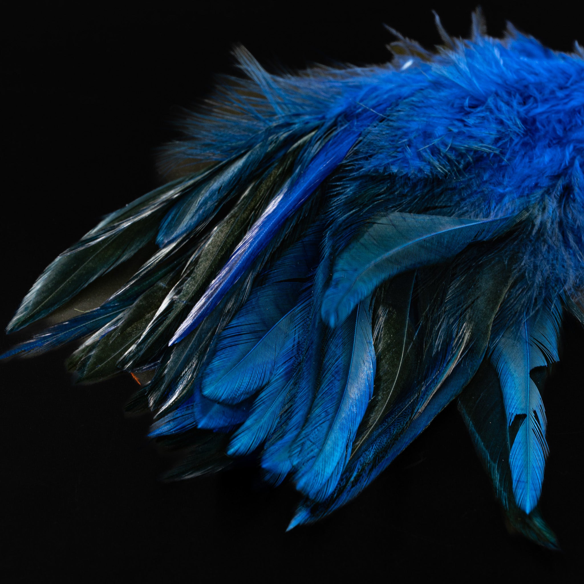 Strung Saddle - Nature's Spirit - fly tying material - image 6