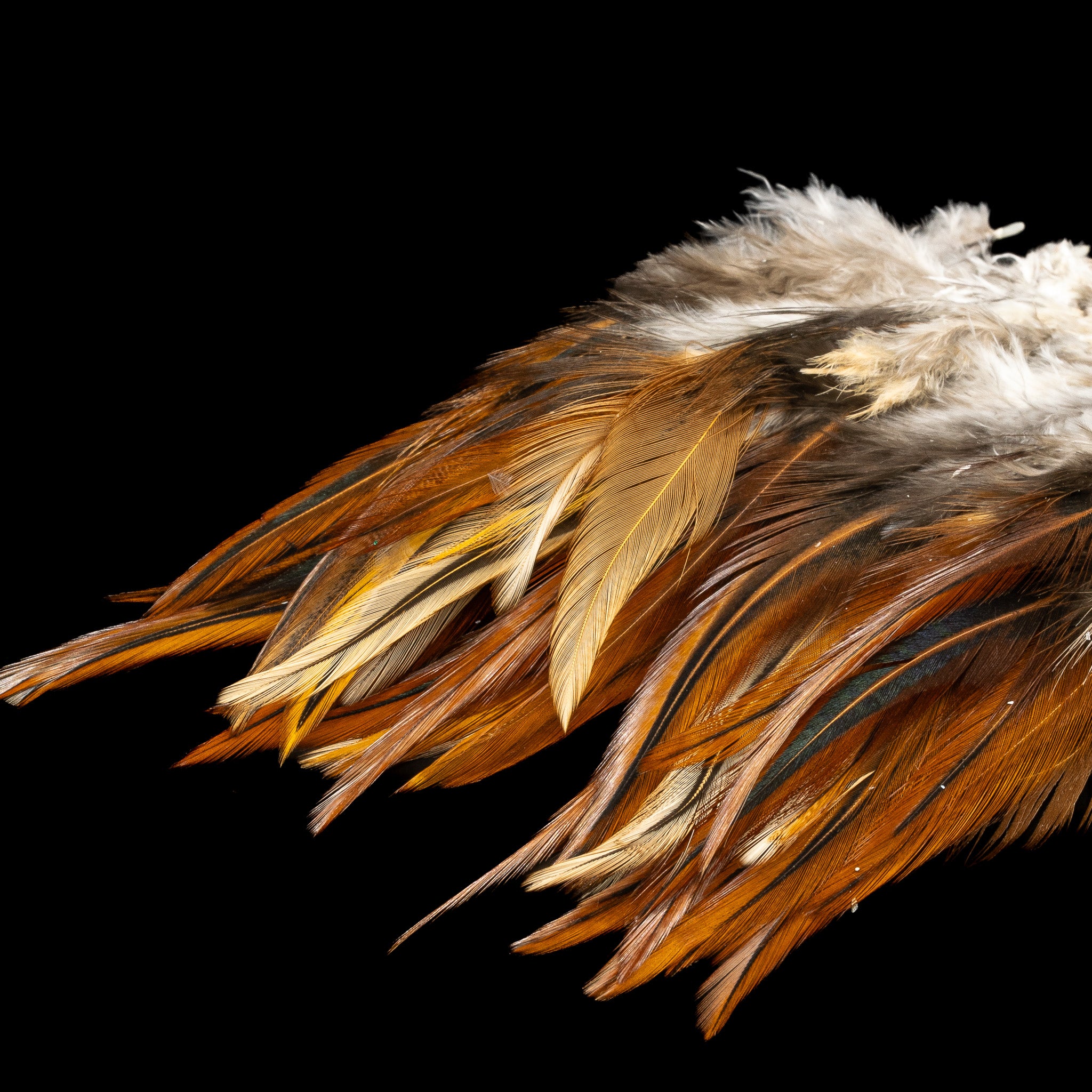 Strung Saddle - Nature's Spirit - fly tying material - image 4