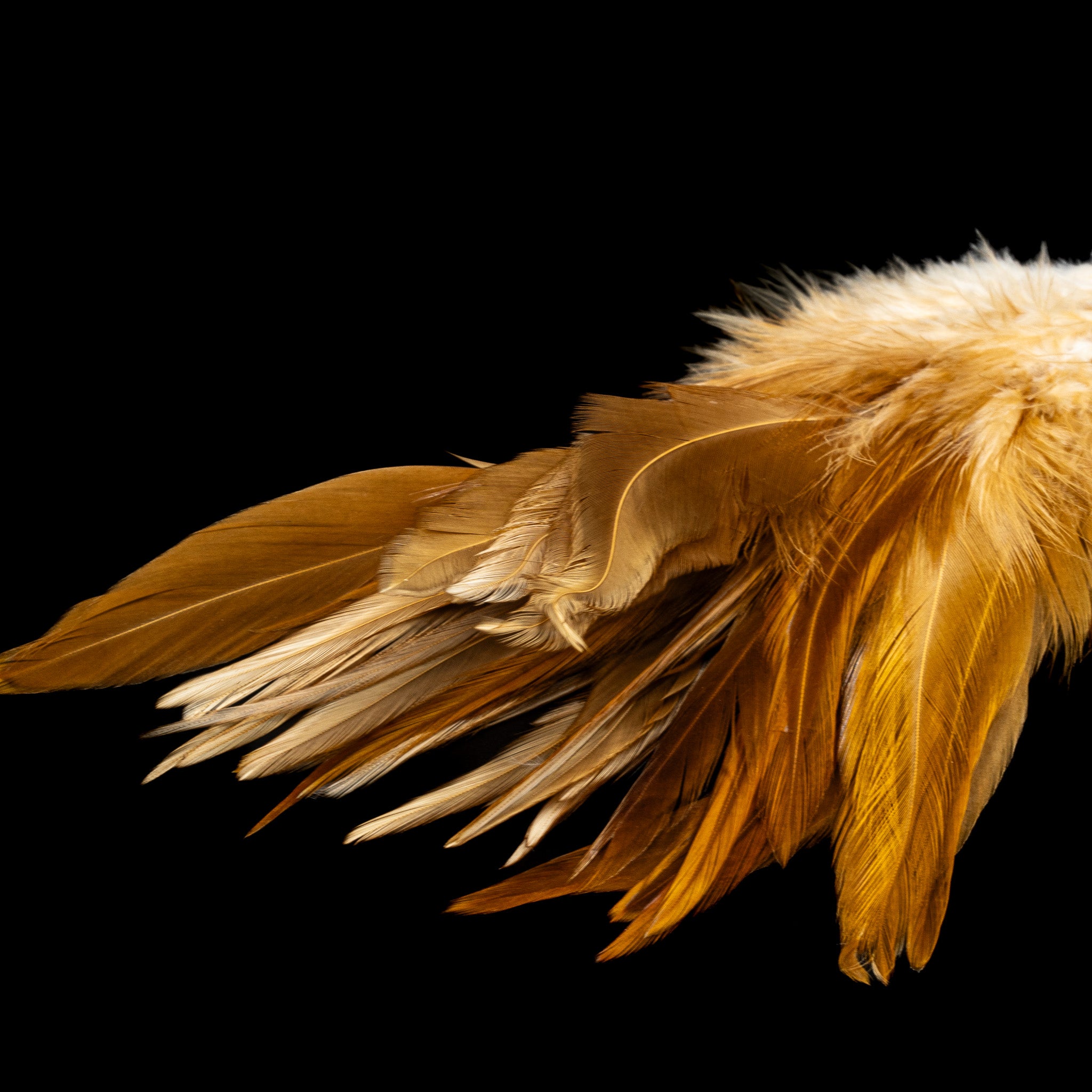 Strung Saddle - Nature's Spirit