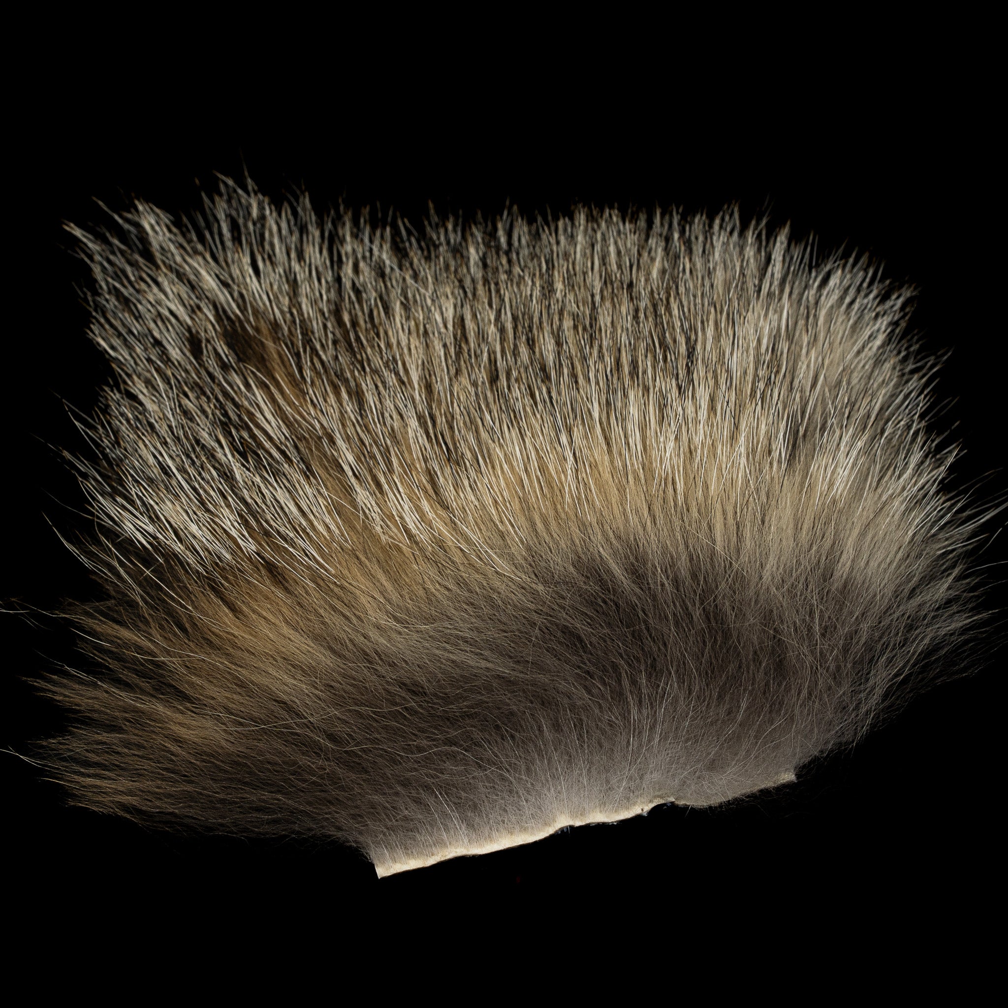 Coyote Premium Wing Fur- Nature's Spirit - fly tying material - image 5