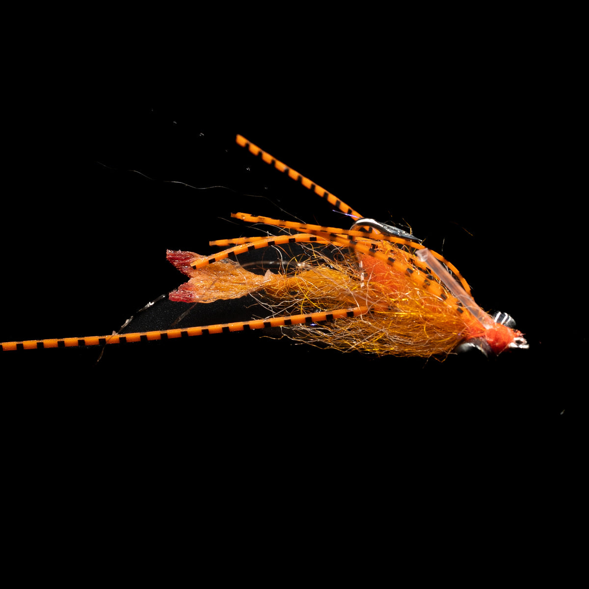 MFC Small Arm Shrimp - fly - image 4