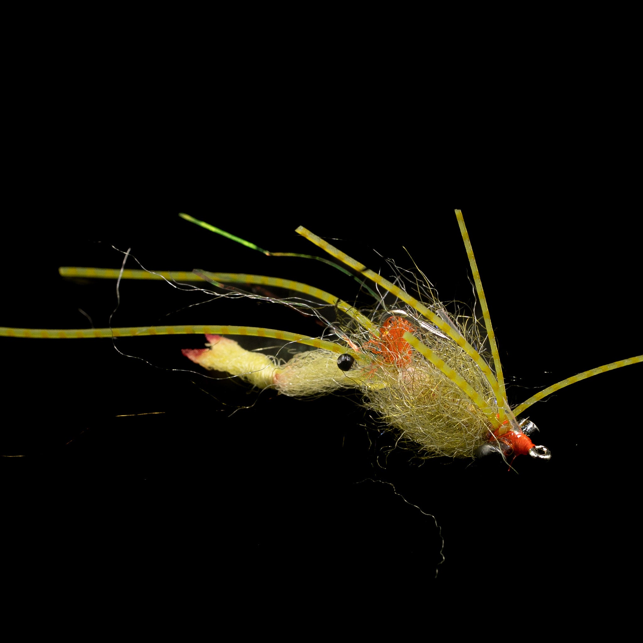 MFC Small Arm Shrimp - fly - image 3