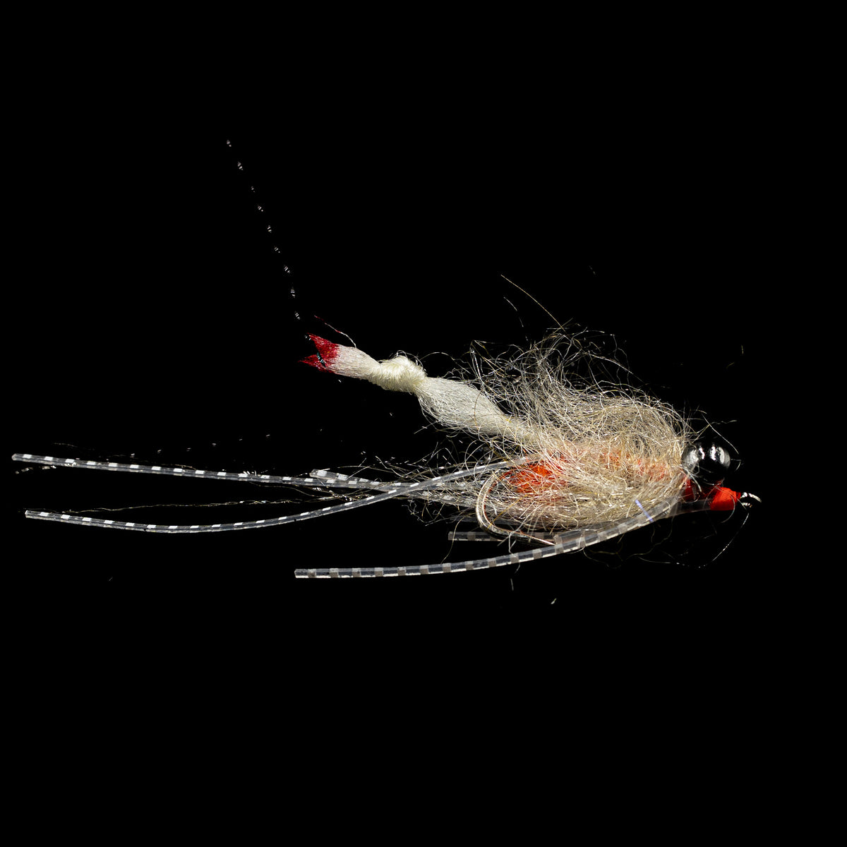 MFC Small Arm Shrimp - fly - image 5