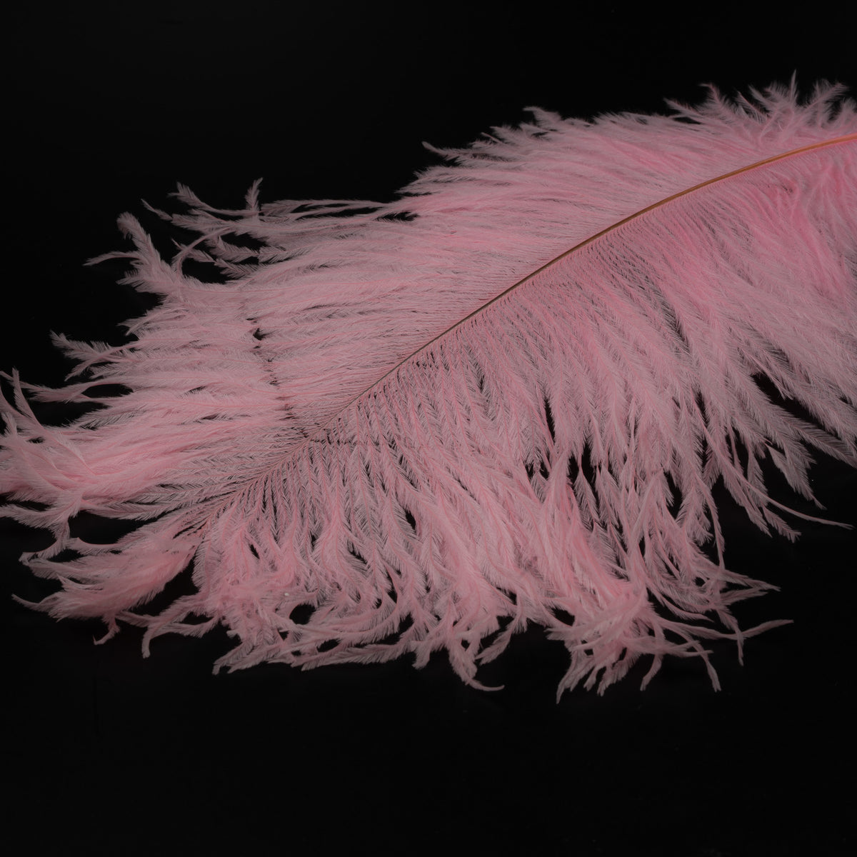 FINATICS Ostrich Plume - Pink