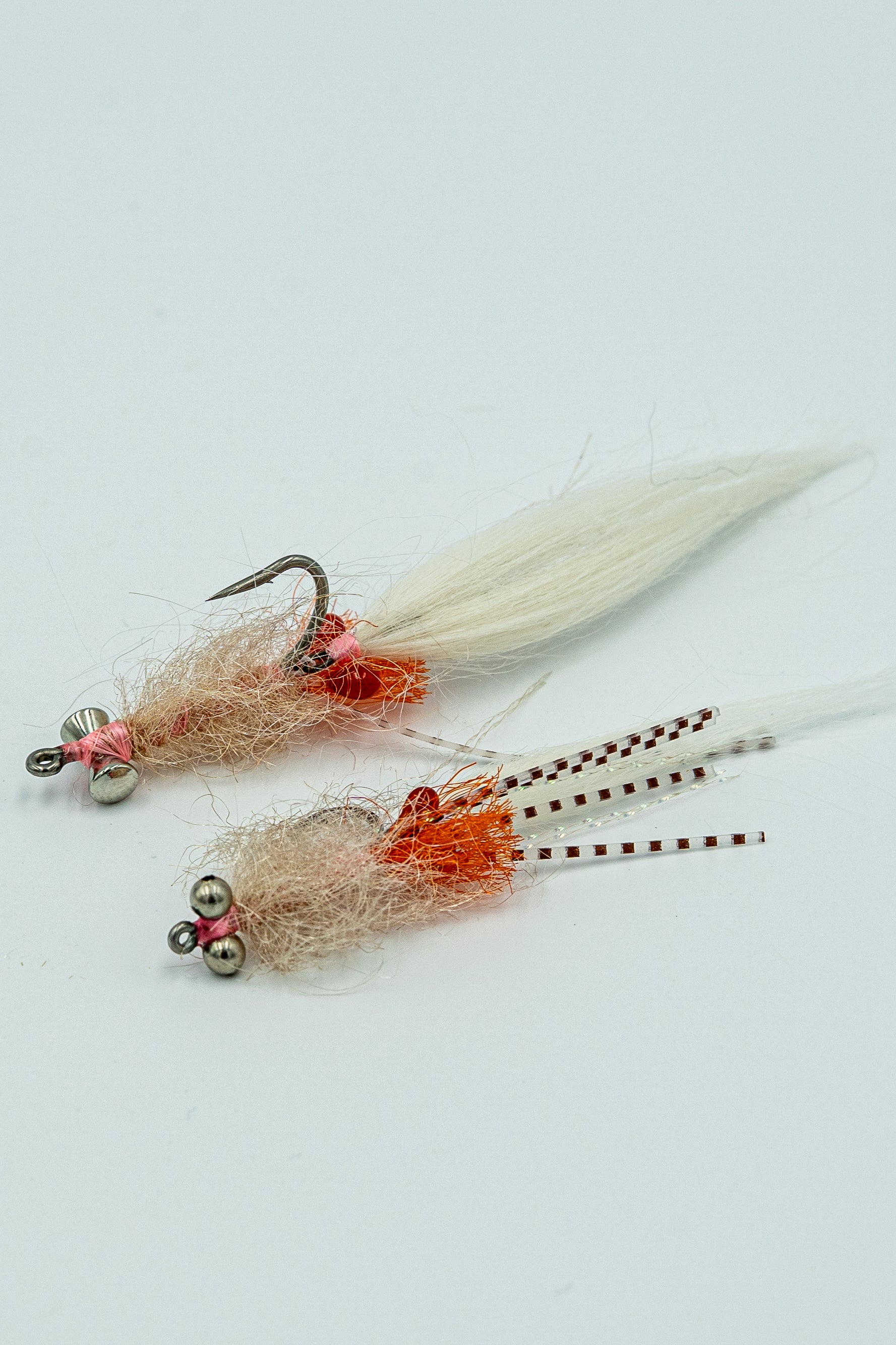 EHLERS' TAIL DRAGGER - Rainy's