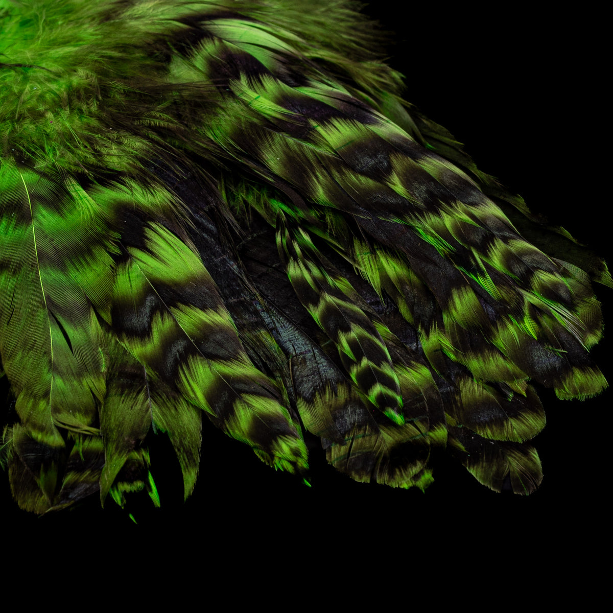 Grizzly Variant Schlappen- Nature's Spirit - fly tying material - image 4