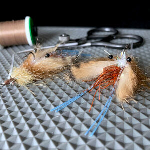 Freeport Fiddler - Sight Cast