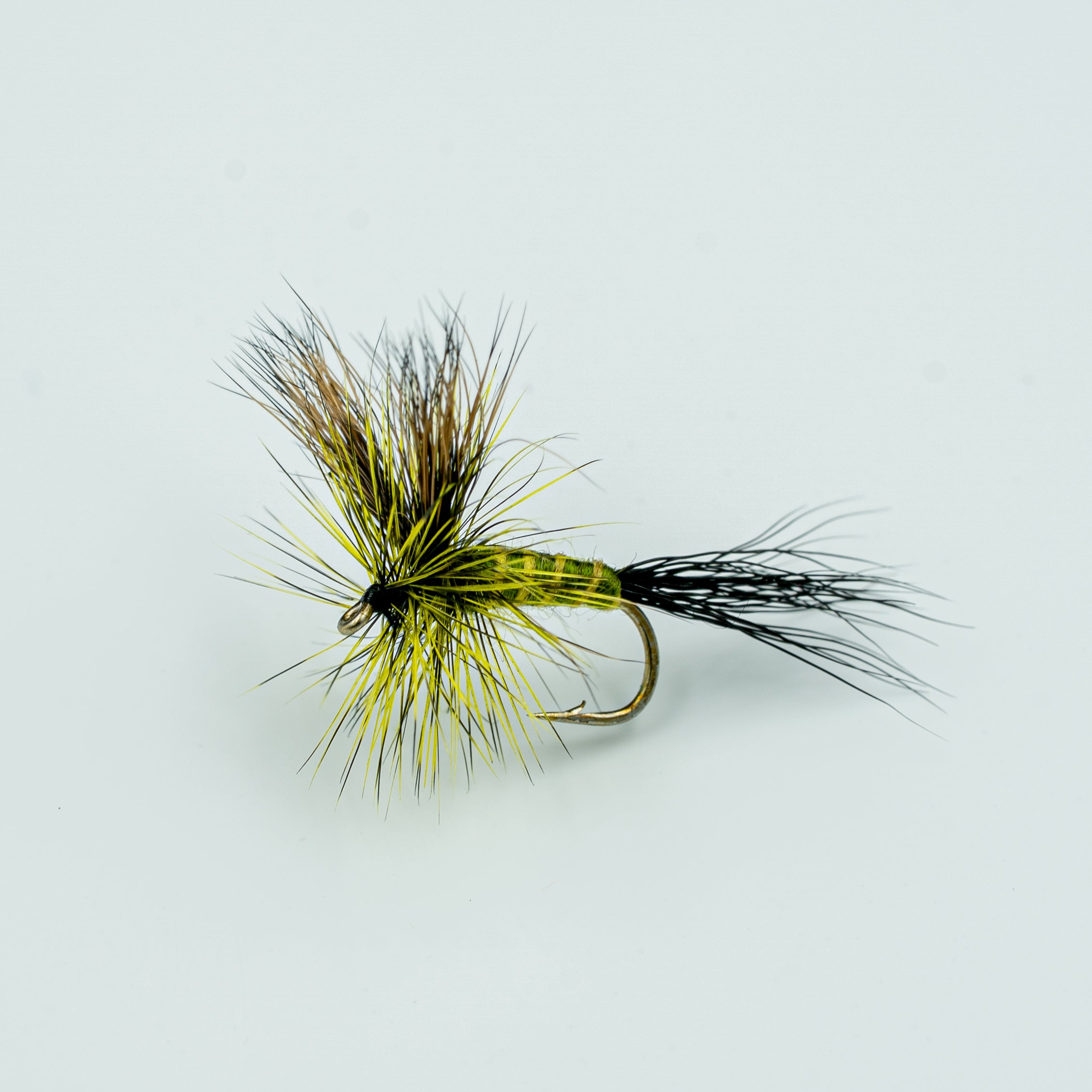 Green Drake- Finatics Fly Company