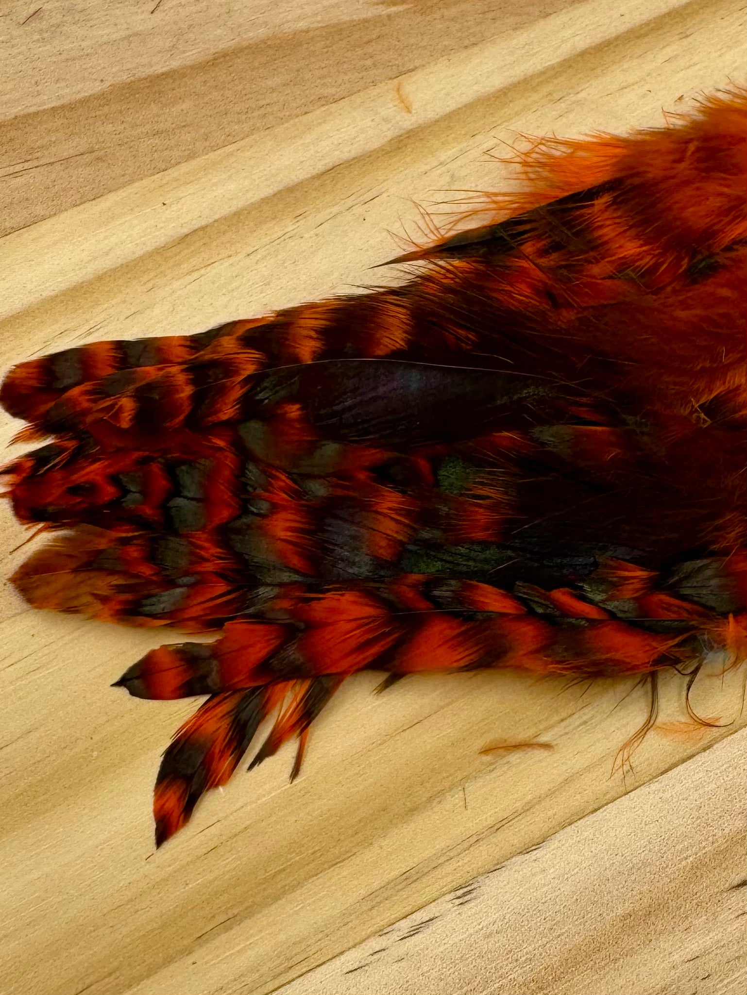 Grizzly Variant Schlappen- Nature's Spirit - fly tying material - image 18