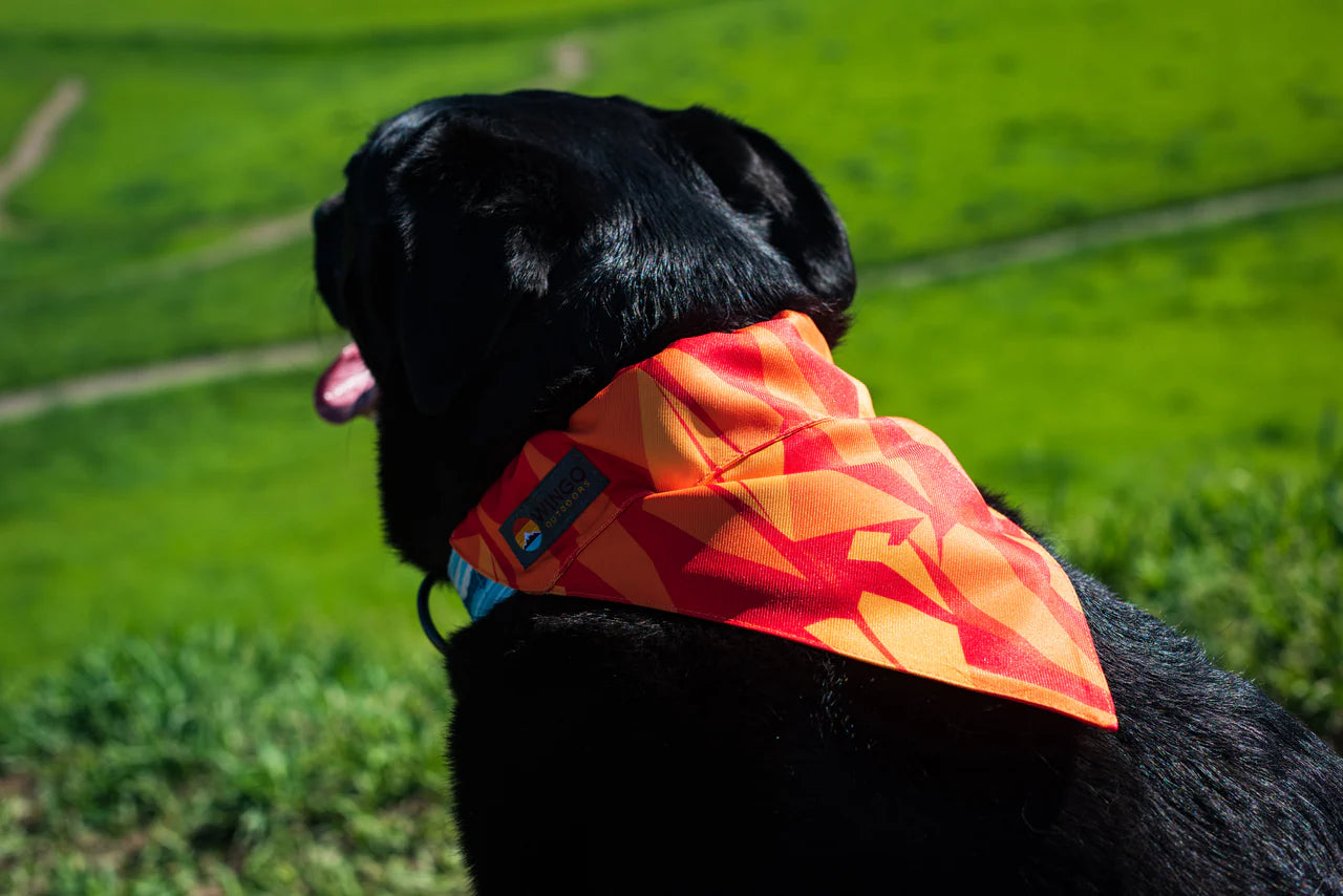 Wingo Bernie Bandana
