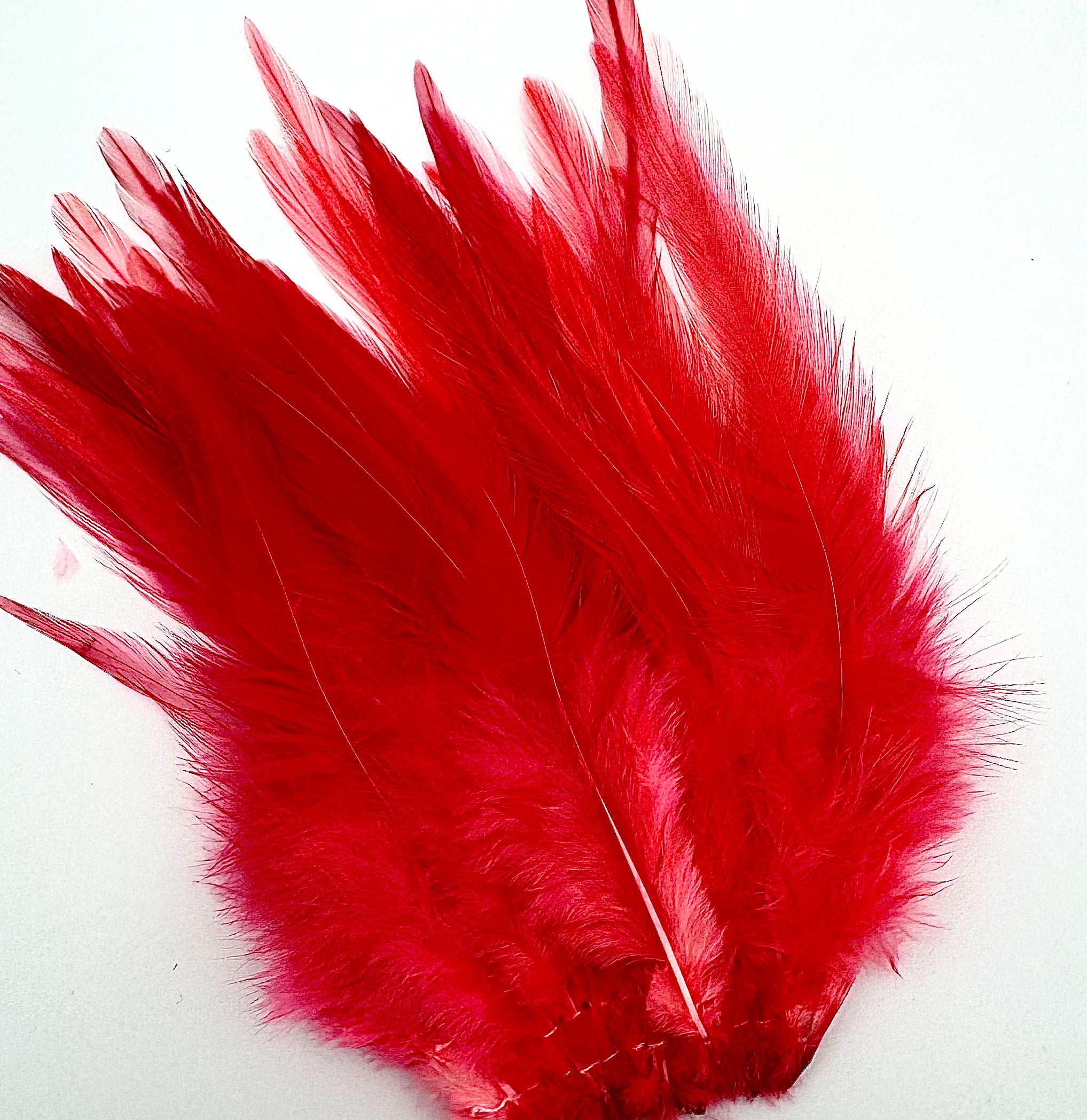 Fish Hunter Select Saddle