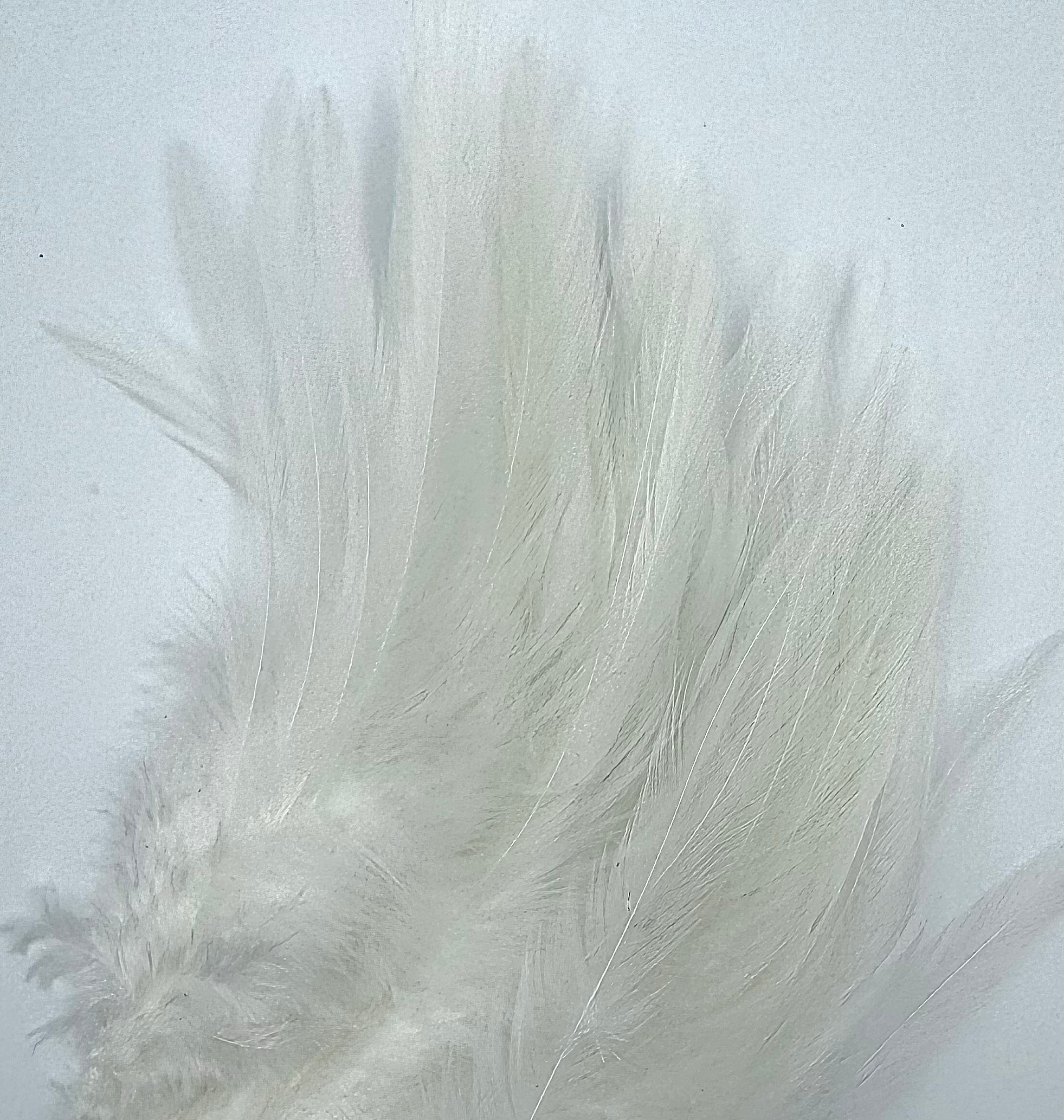 Fish Hunter Select Saddle - fly tying material - image 12