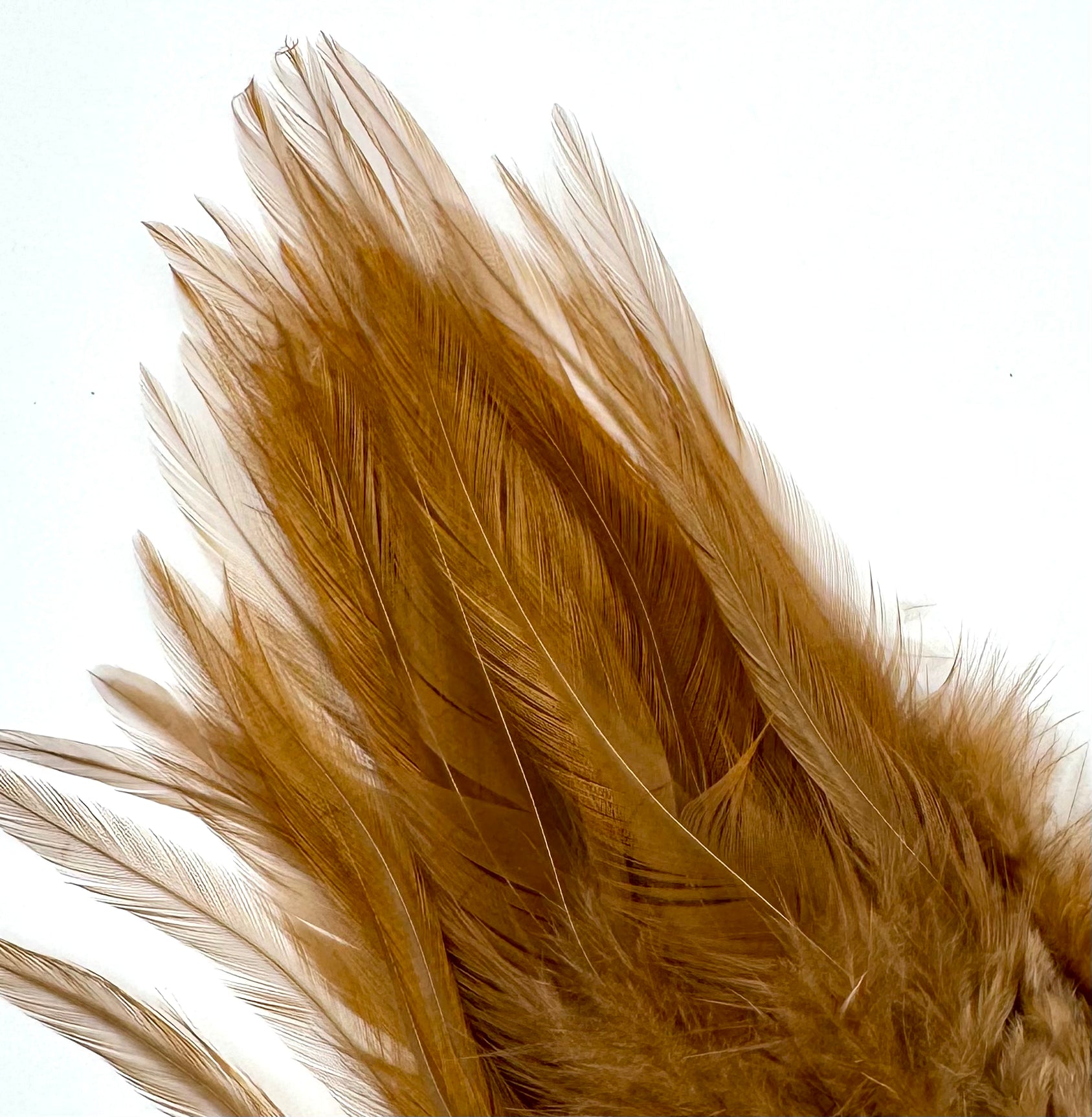 Fish Hunter Select Saddle - fly tying material - image 13