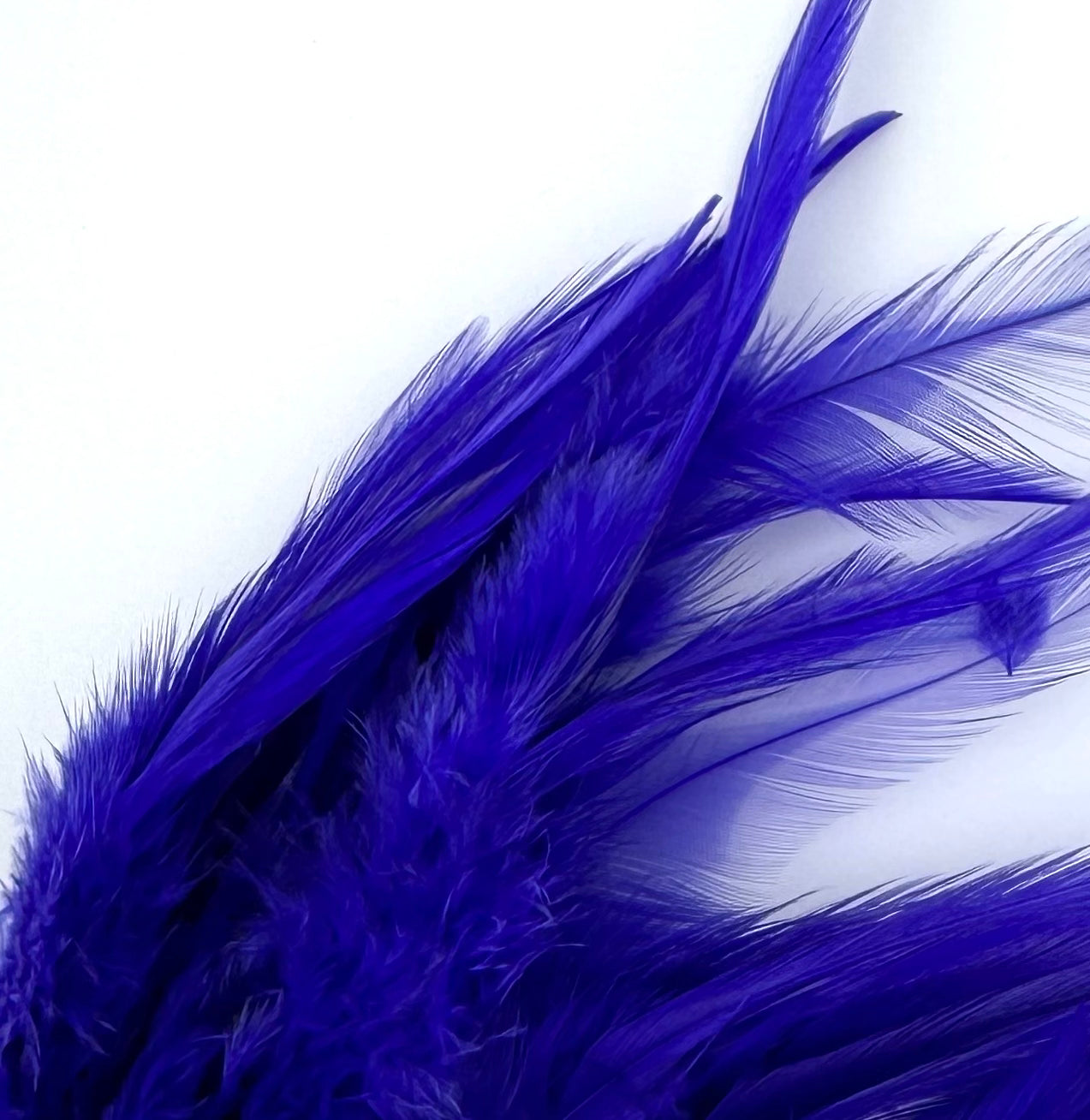 Fish Hunter Saddle Hackle