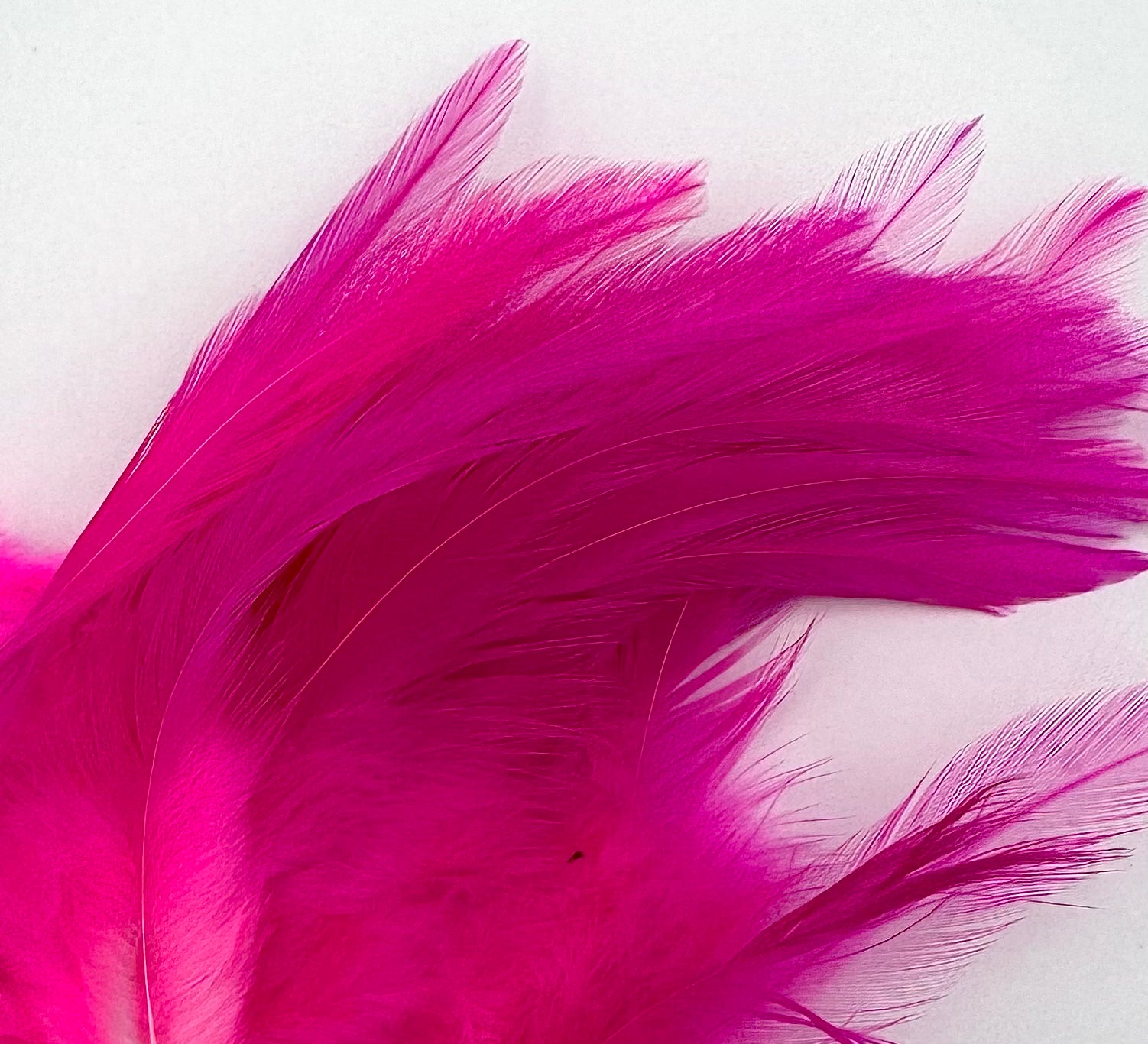 Fish Hunter Saddle Hackle - fly tying material - image 4