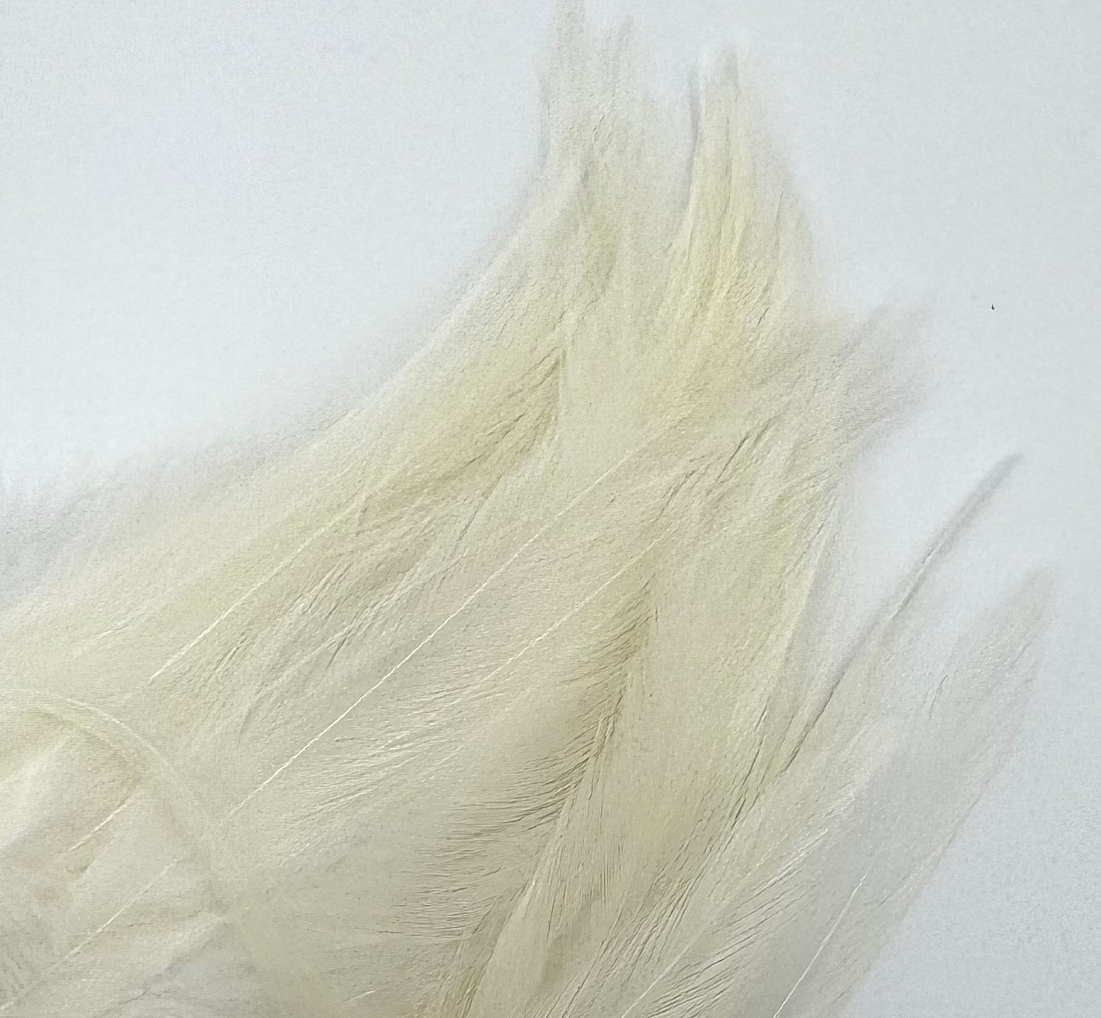 Fish Hunter Saddle Hackle - fly tying material - image 5