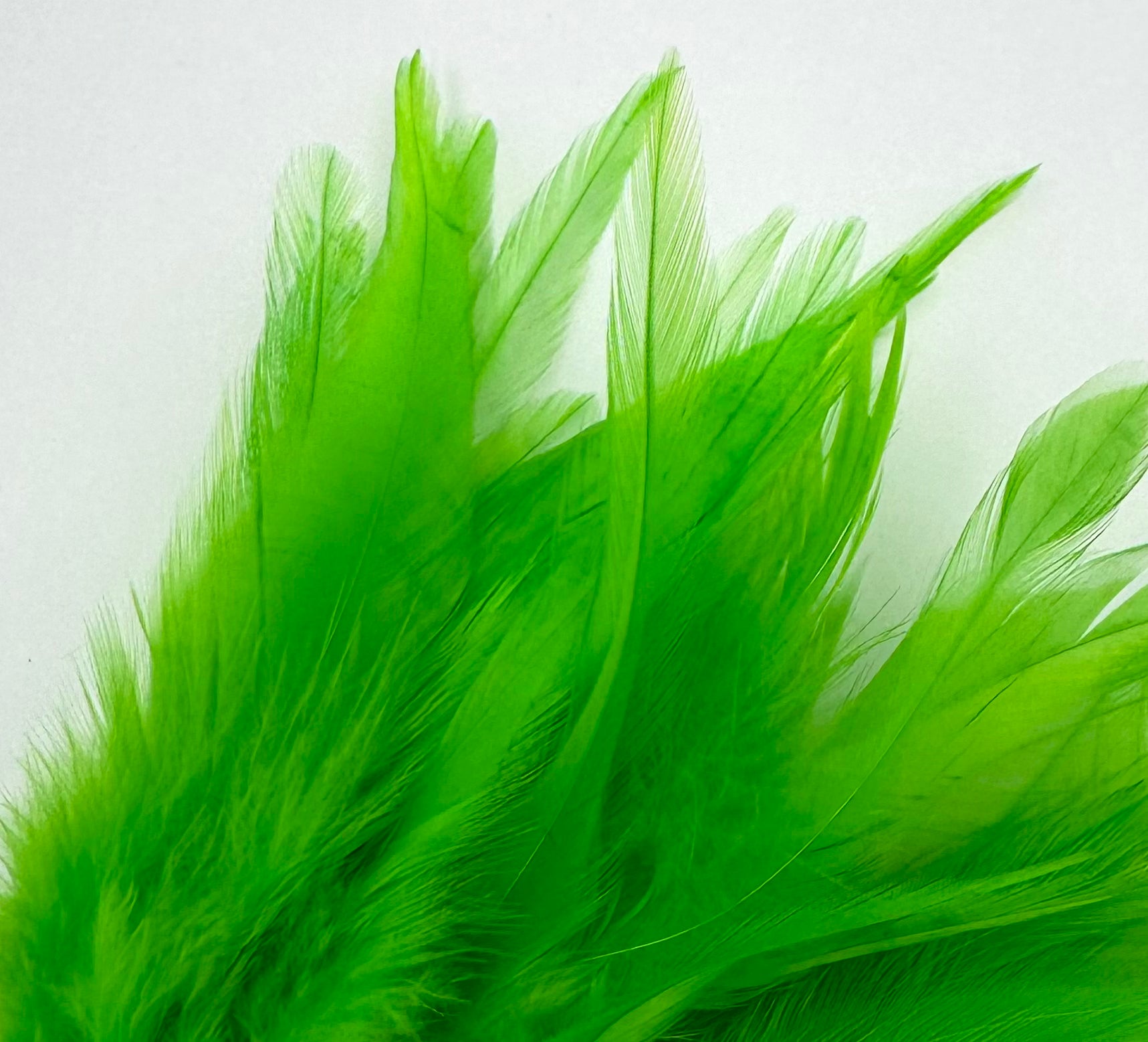 Fish Hunter Saddle Hackle - fly tying material - image 7