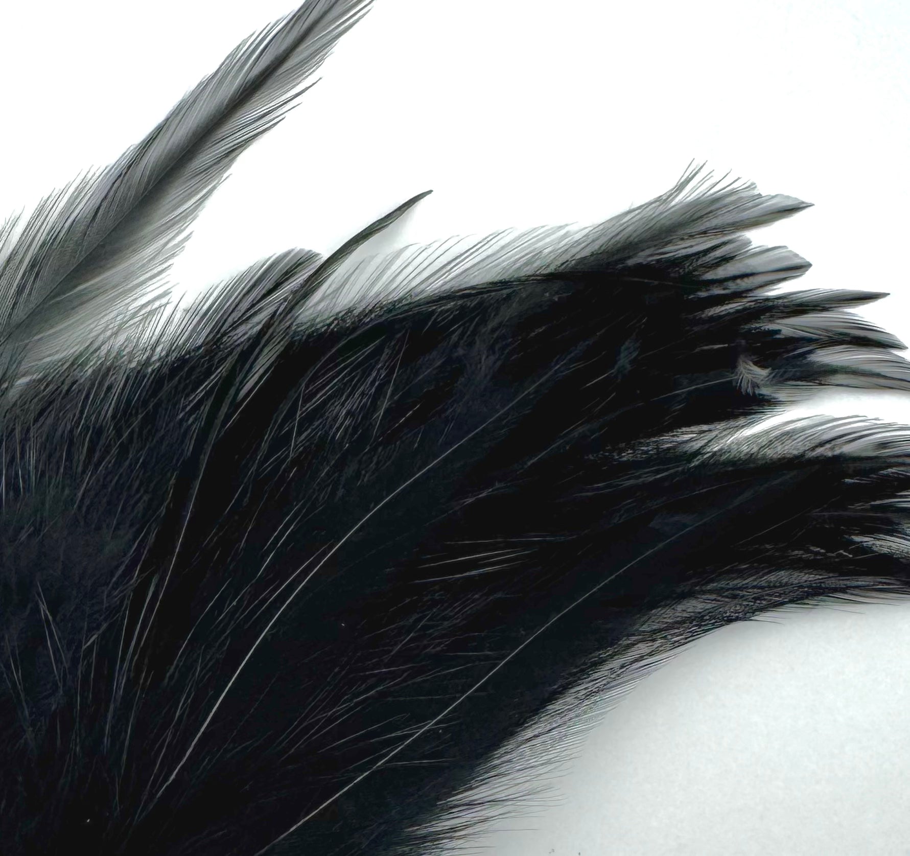 Fish Hunter Saddle Hackle - fly tying material - image 8