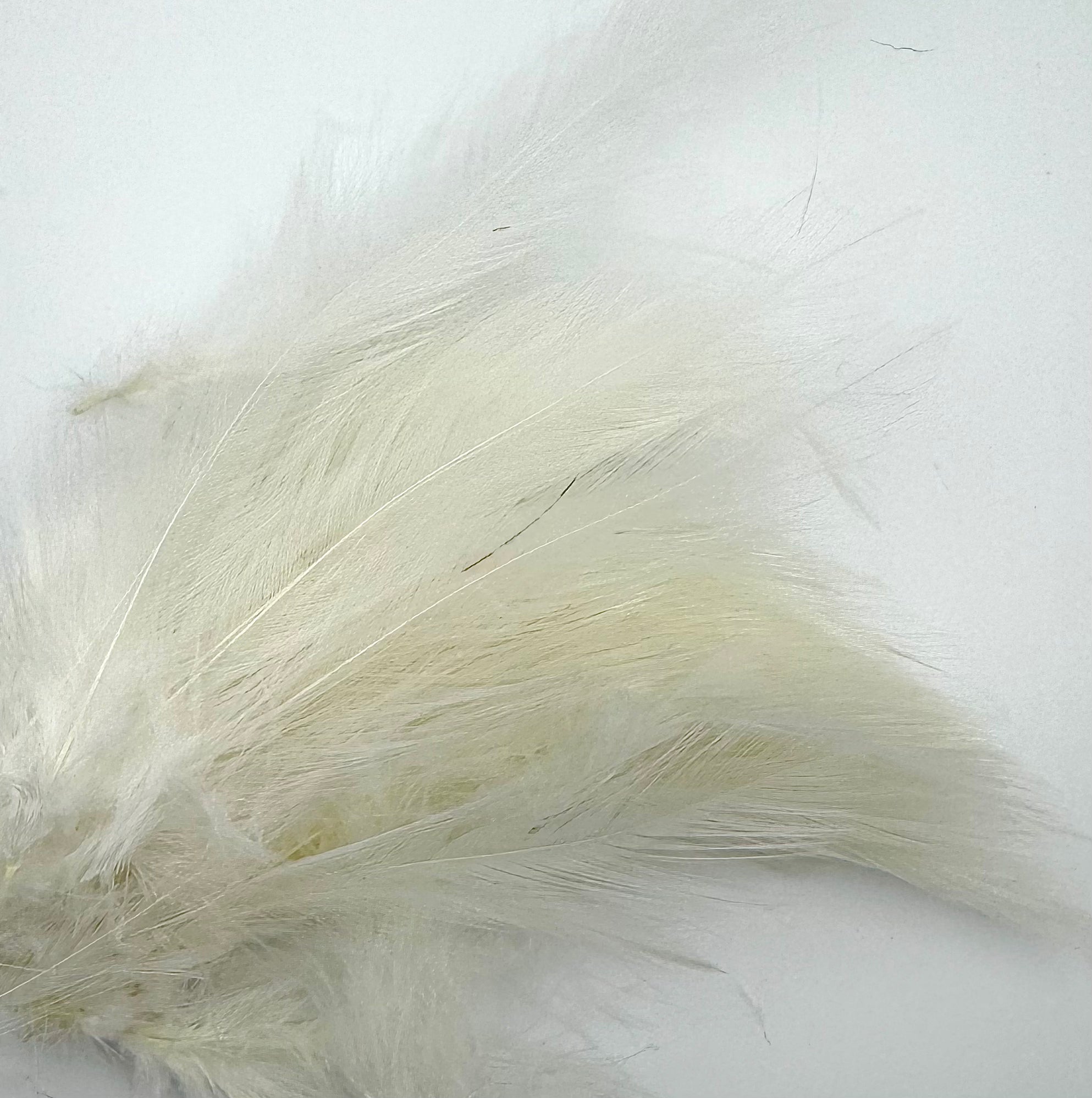 Fish Hunter Neck Hackle - fly tying material - image 5