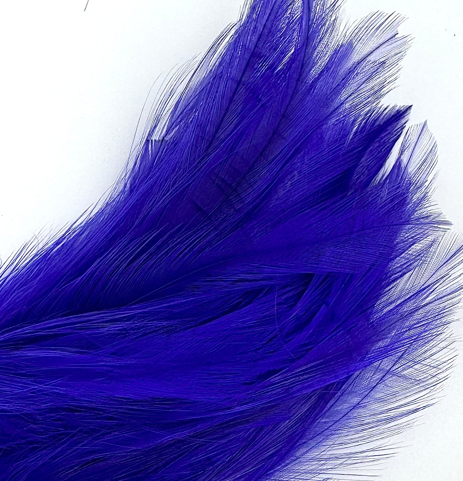 Fish Hunter Neck Hackle - fly tying material - image 6