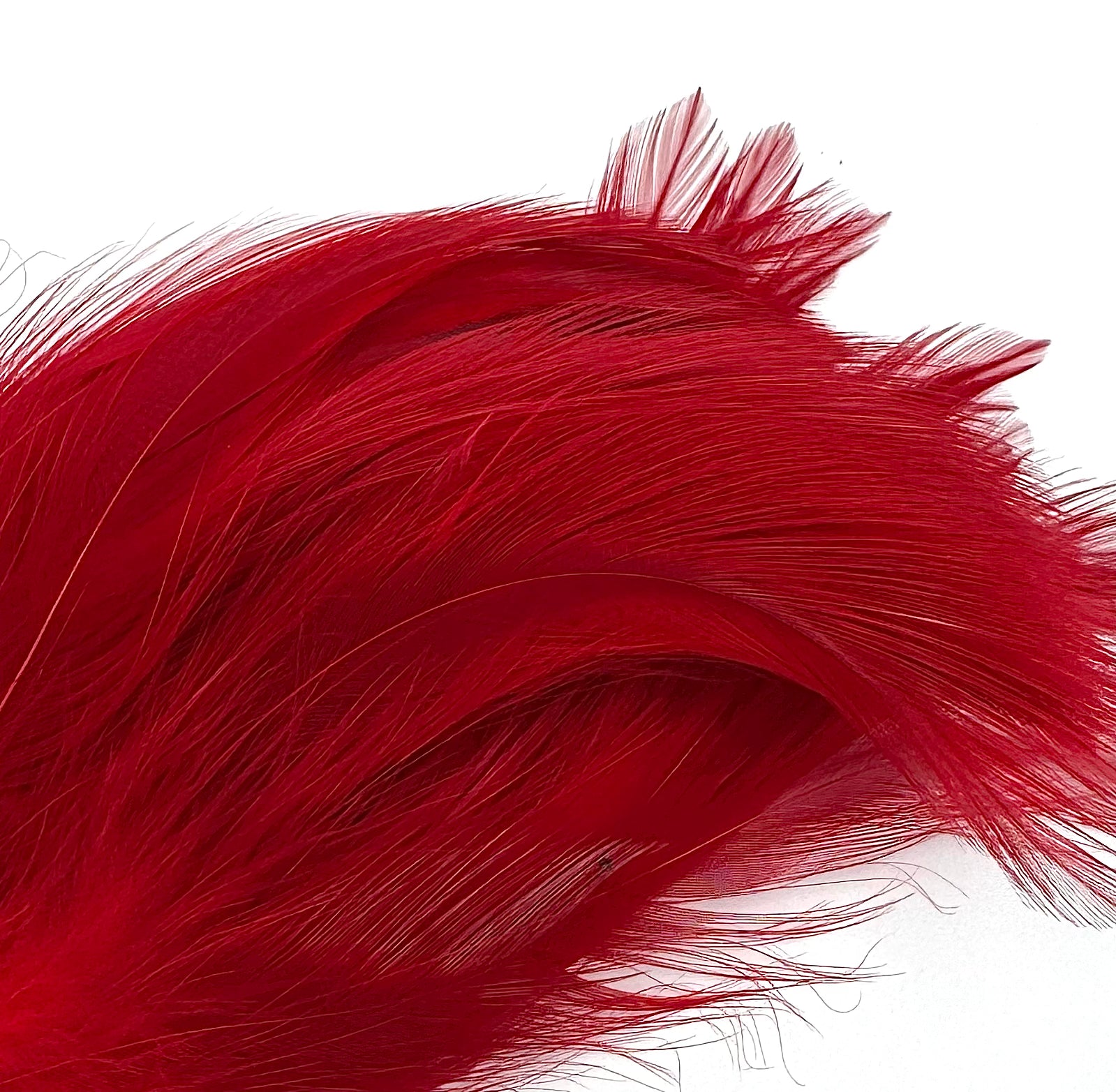 Fish Hunter Neck Hackle - fly tying material - image 7